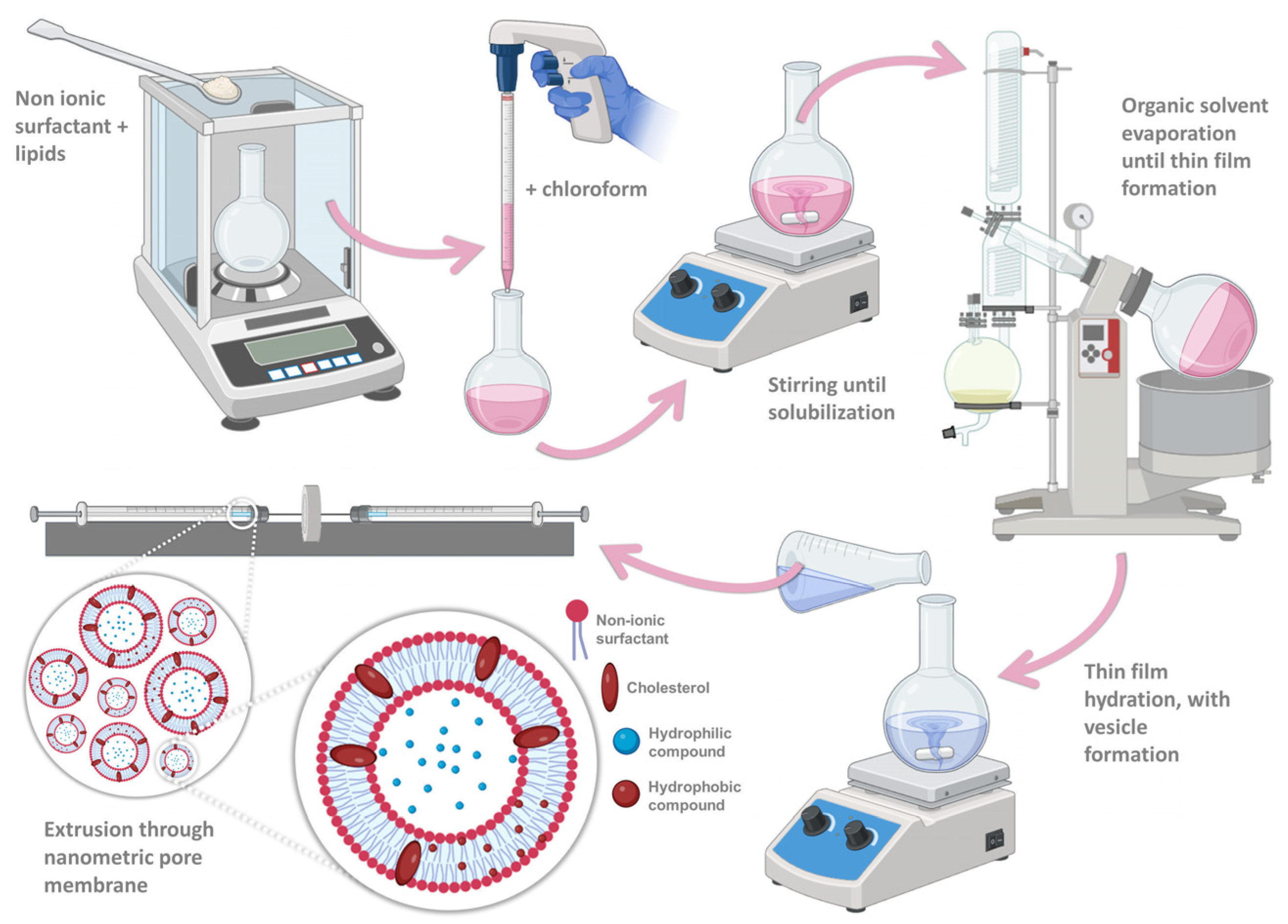 Pharmaceuticals 17 00572 g008