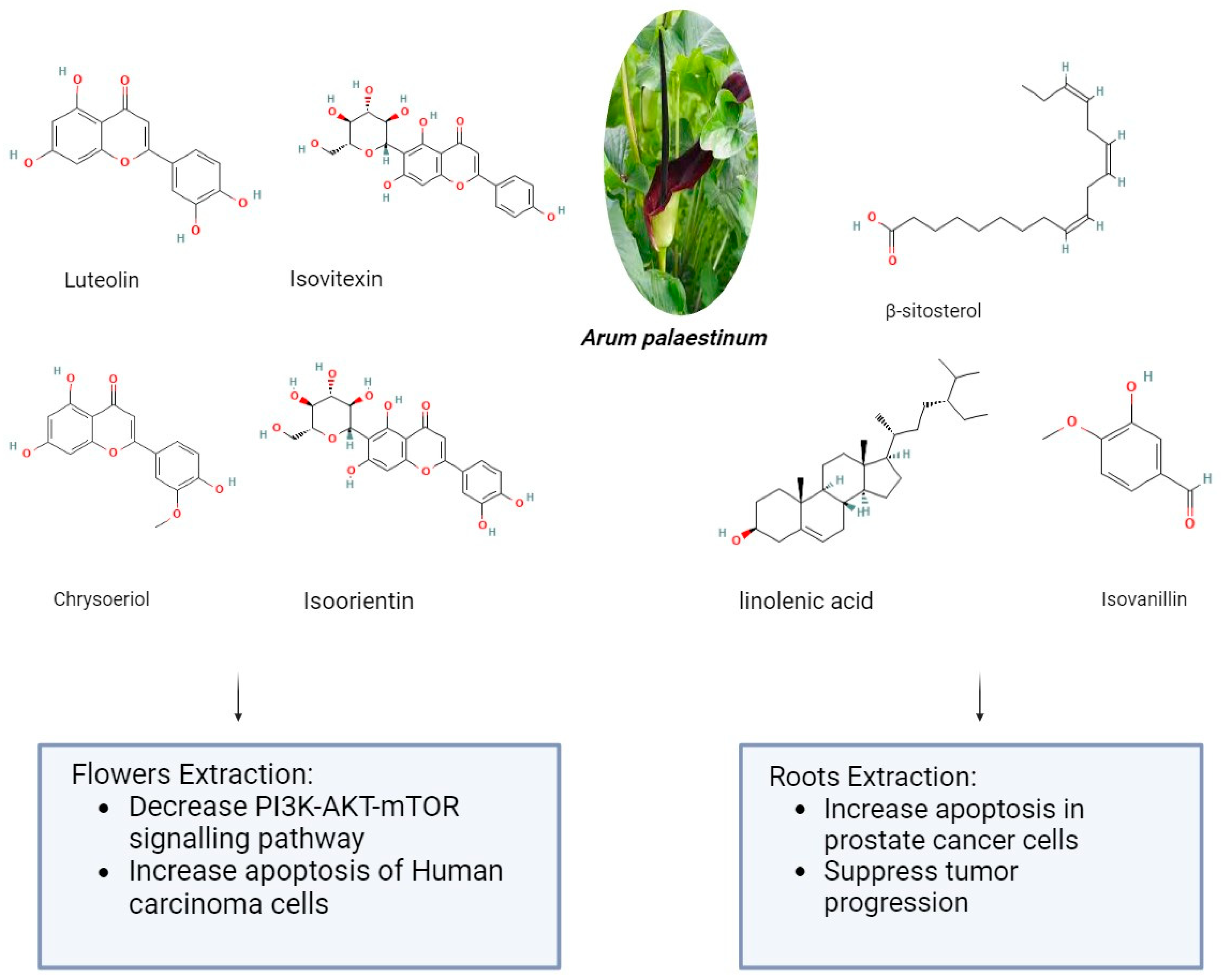 Pharmaceuticals 17 00574 g002 Pharmaceuticals 17 00574 g002