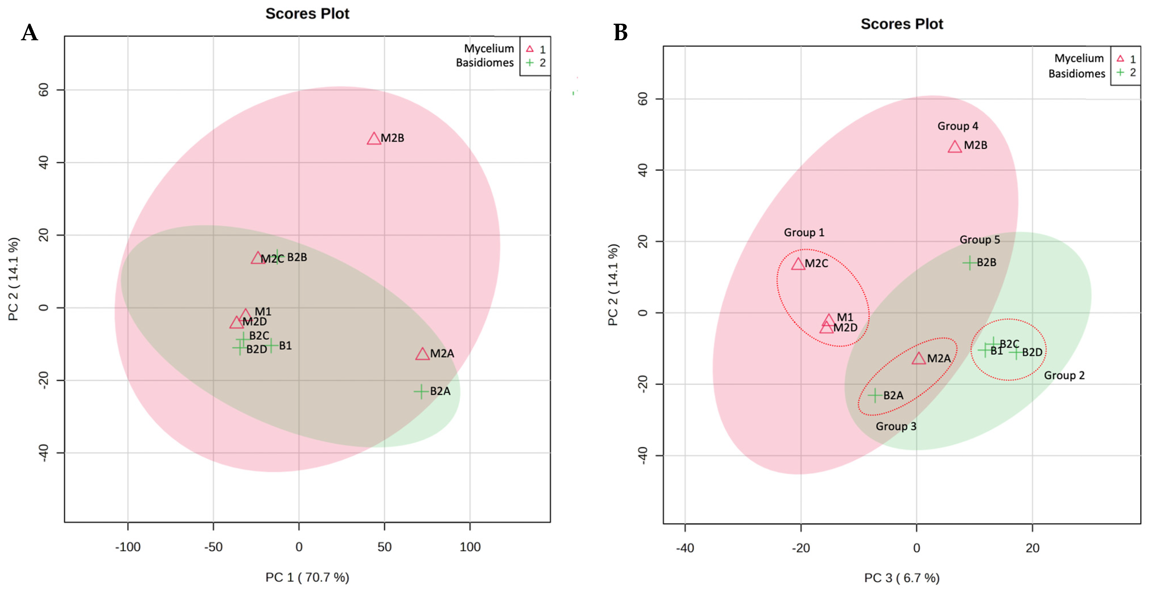 Pharmaceuticals 17 00580 g002
