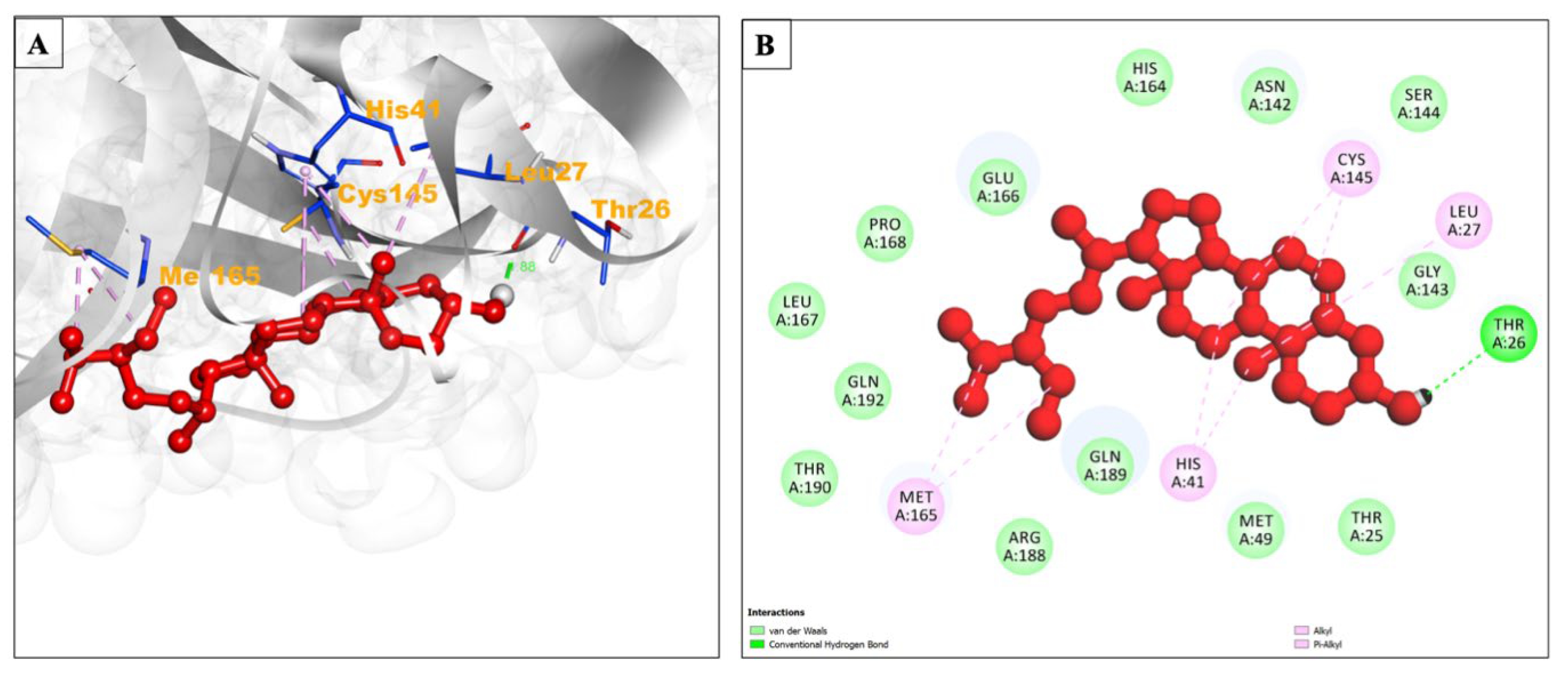 Pharmaceuticals 17 00581 g002