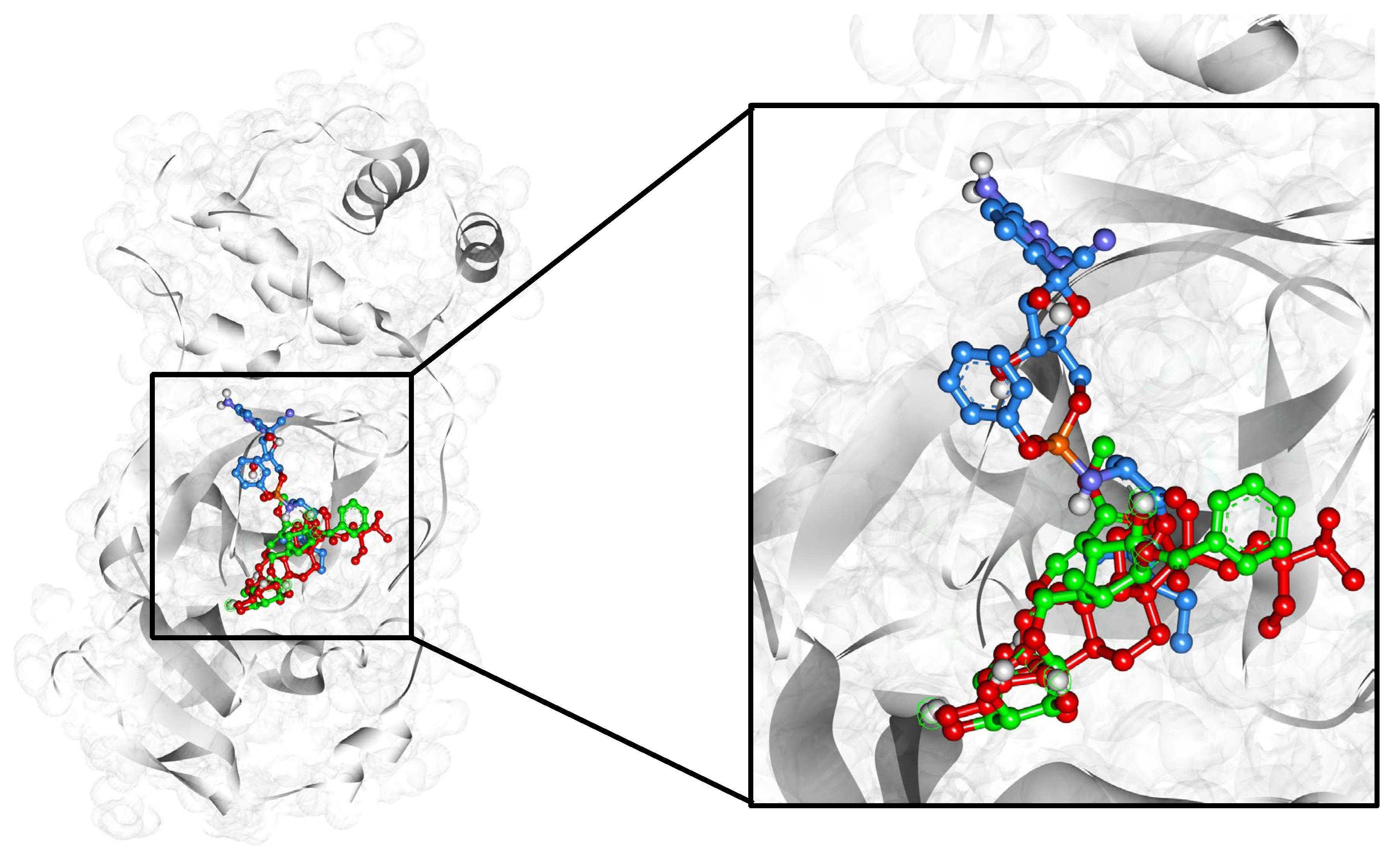 Pharmaceuticals 17 00581 g004
