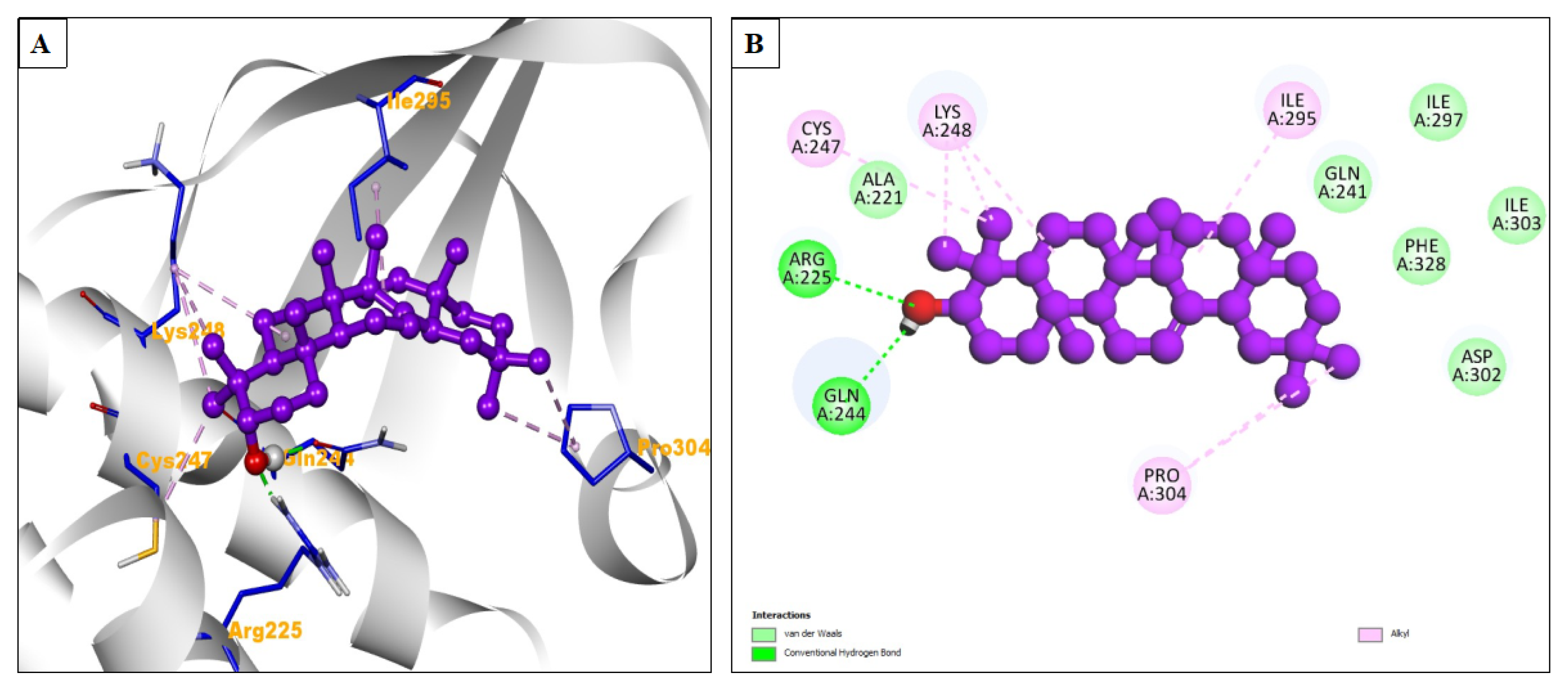Pharmaceuticals 17 00581 g005