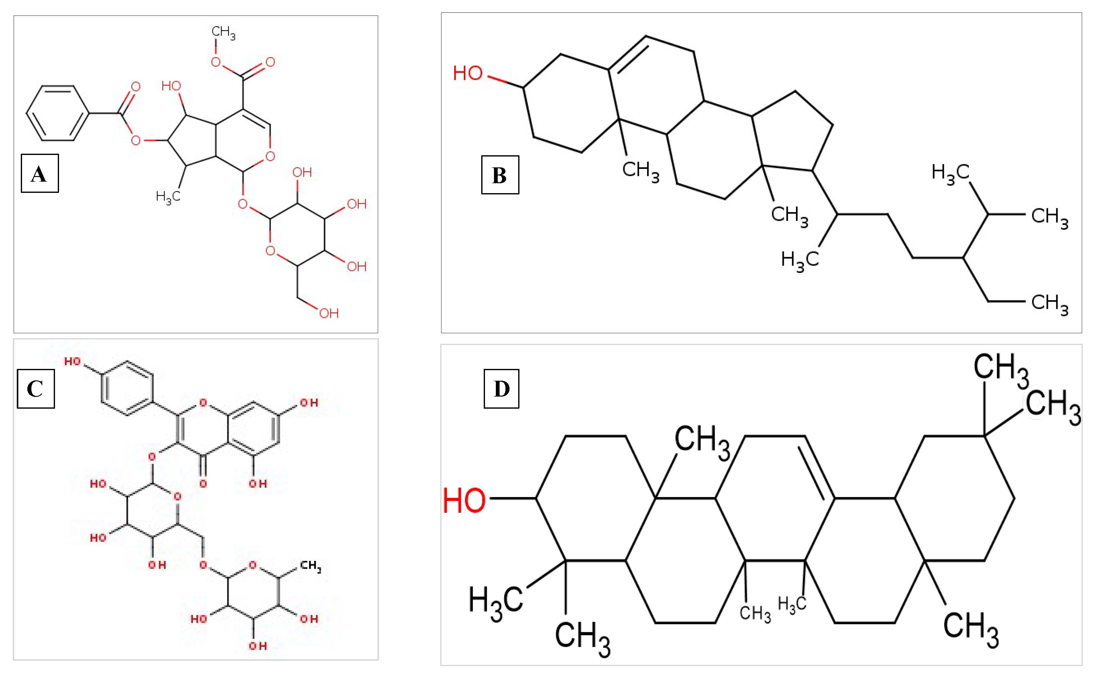 Pharmaceuticals 17 00581 g008