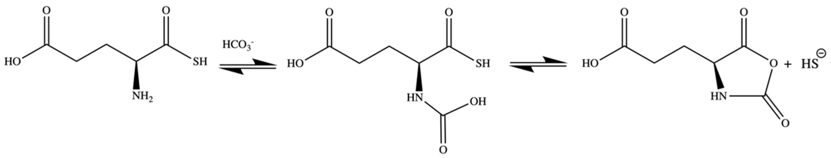 Pharmaceuticals 17 00585 g004 Pharmaceuticals 17 00585 g004