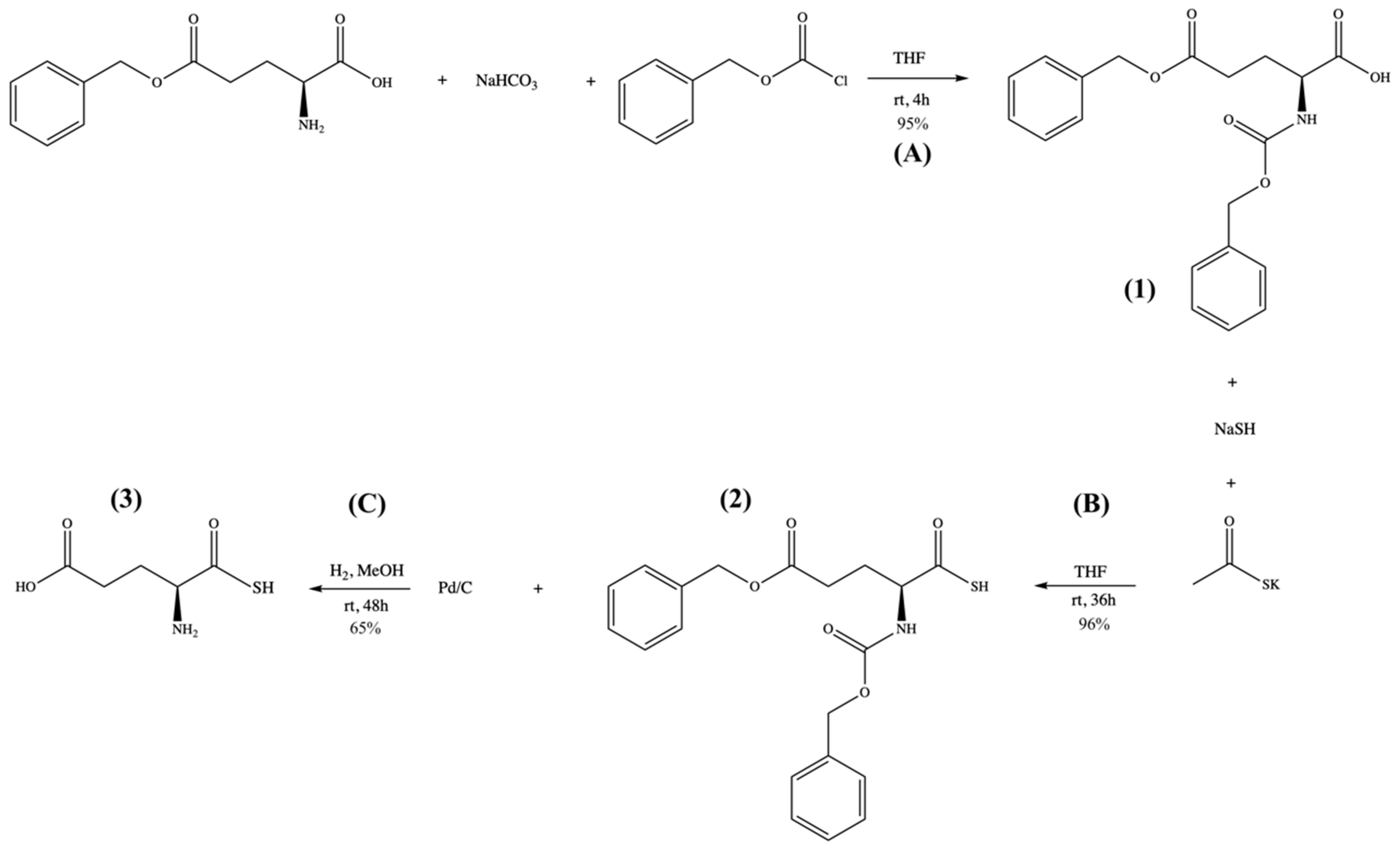 Pharmaceuticals 17 00585 sch001 Pharmaceuticals 17 00585 sch001