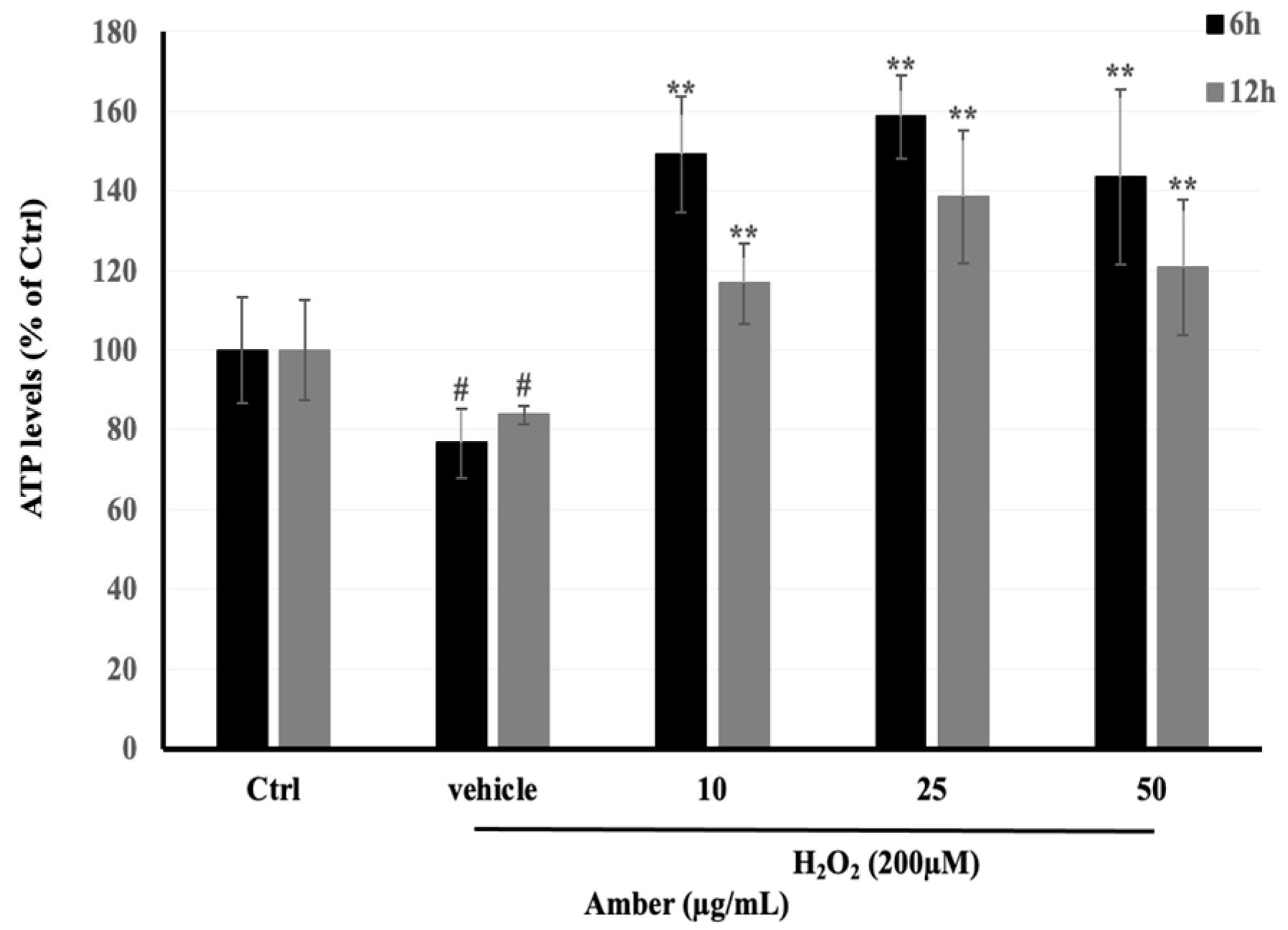 Pharmaceuticals 17 00586 g004