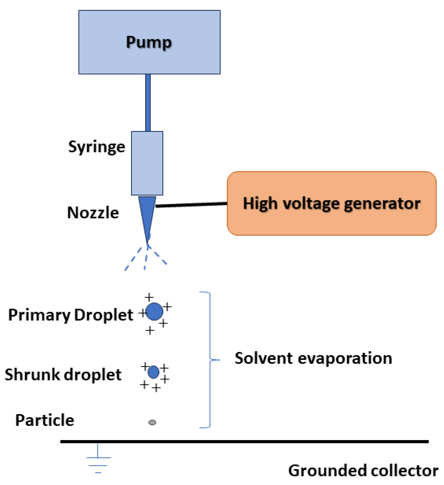 Pharmaceuticals 17 00587 g002