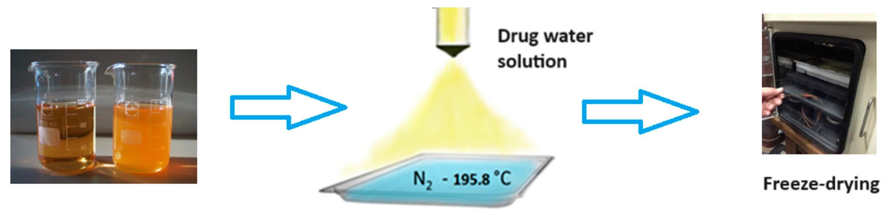 Pharmaceuticals 17 00587 g008