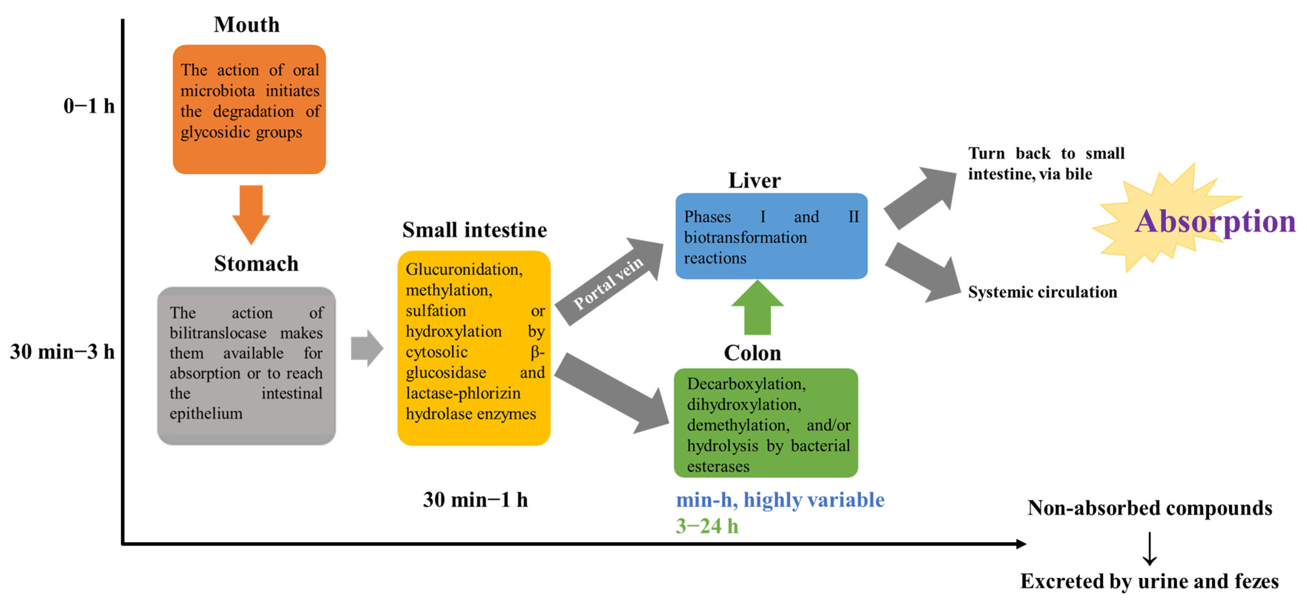 Pharmaceuticals 17 00590 g001 Pharmaceuticals 17 00590 g001
