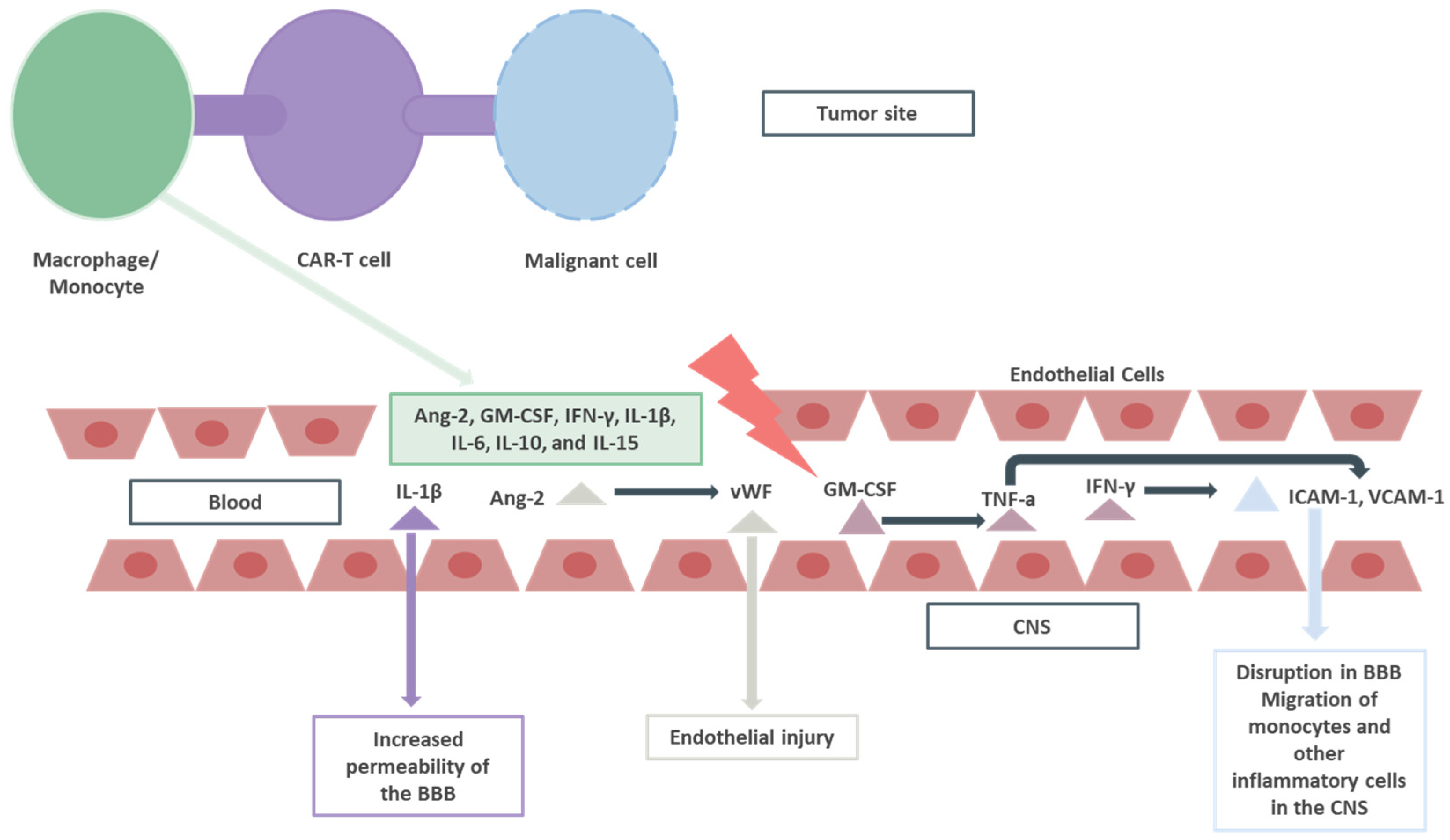 Pharmaceuticals 17 00591 g001
