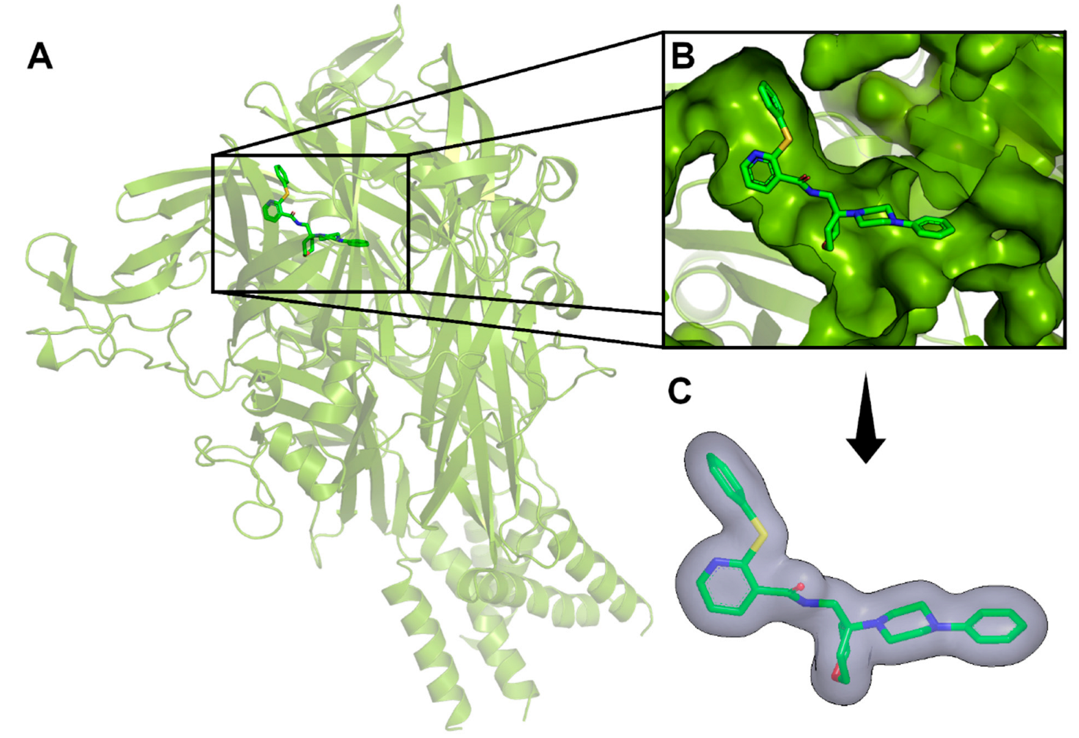 Pharmaceuticals 17 00592 g003