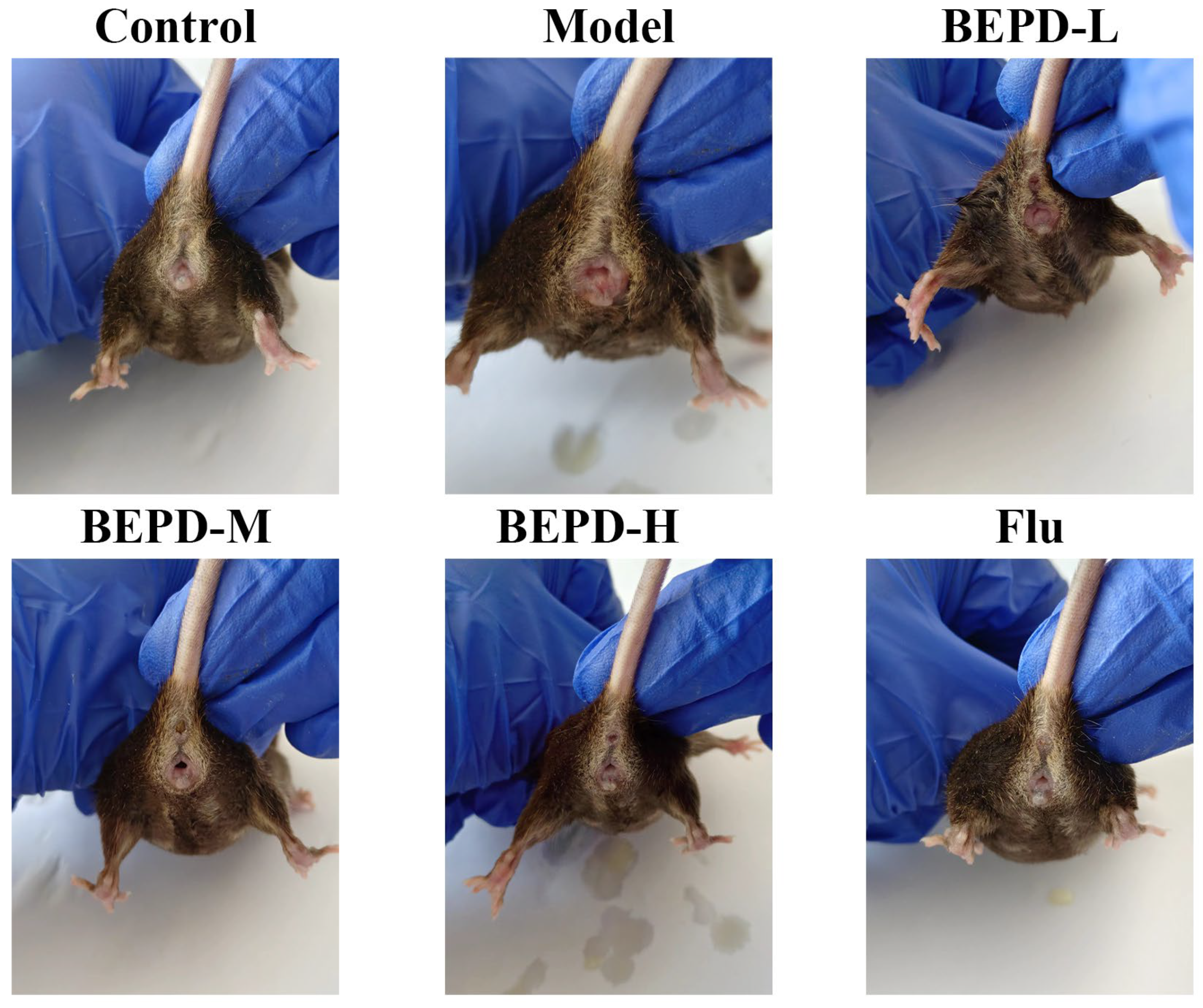 Pharmaceuticals 17 00594 g002 Pharmaceuticals 17 00594 g002