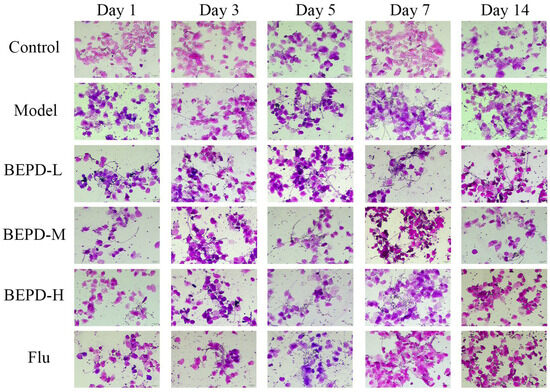テスト Using the co-expression network of T cell-activation-related
