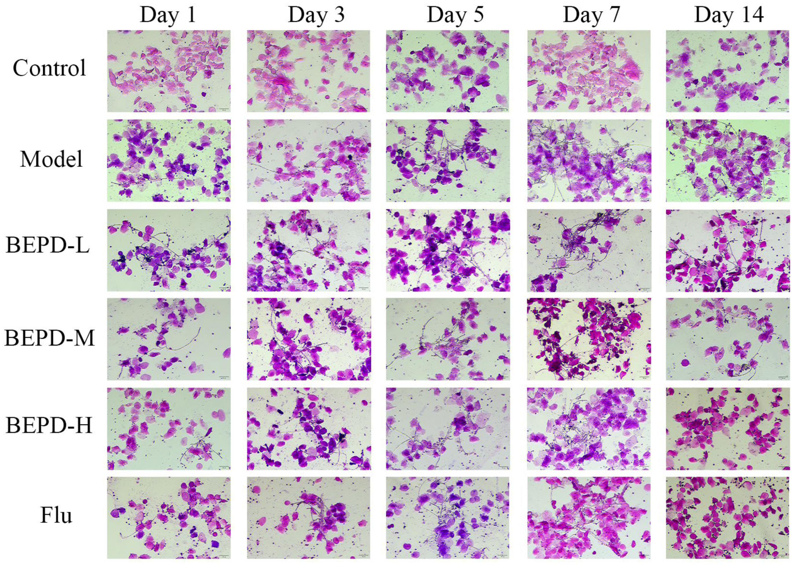 Pharmaceuticals 17 00594 g003 Pharmaceuticals 17 00594 g003