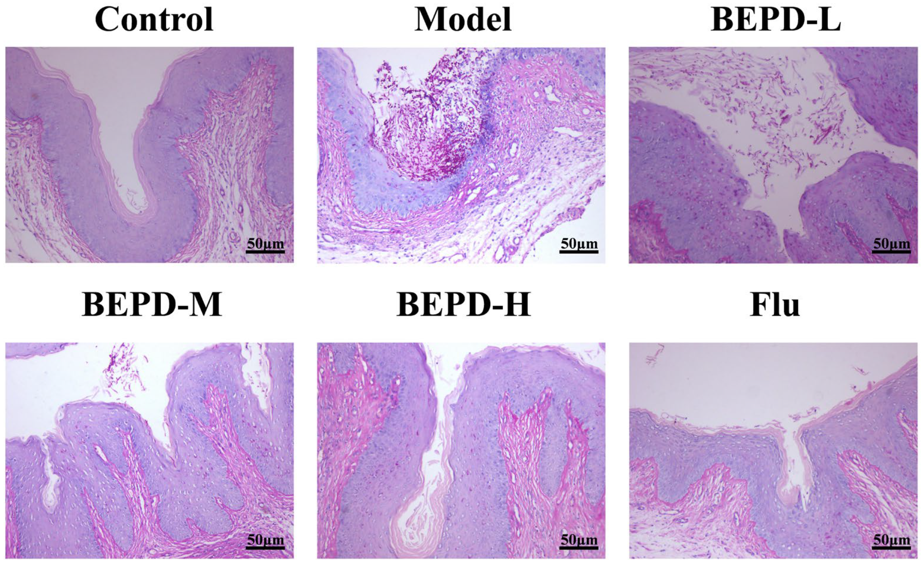 Pharmaceuticals 17 00594 g006 Pharmaceuticals 17 00594 g006