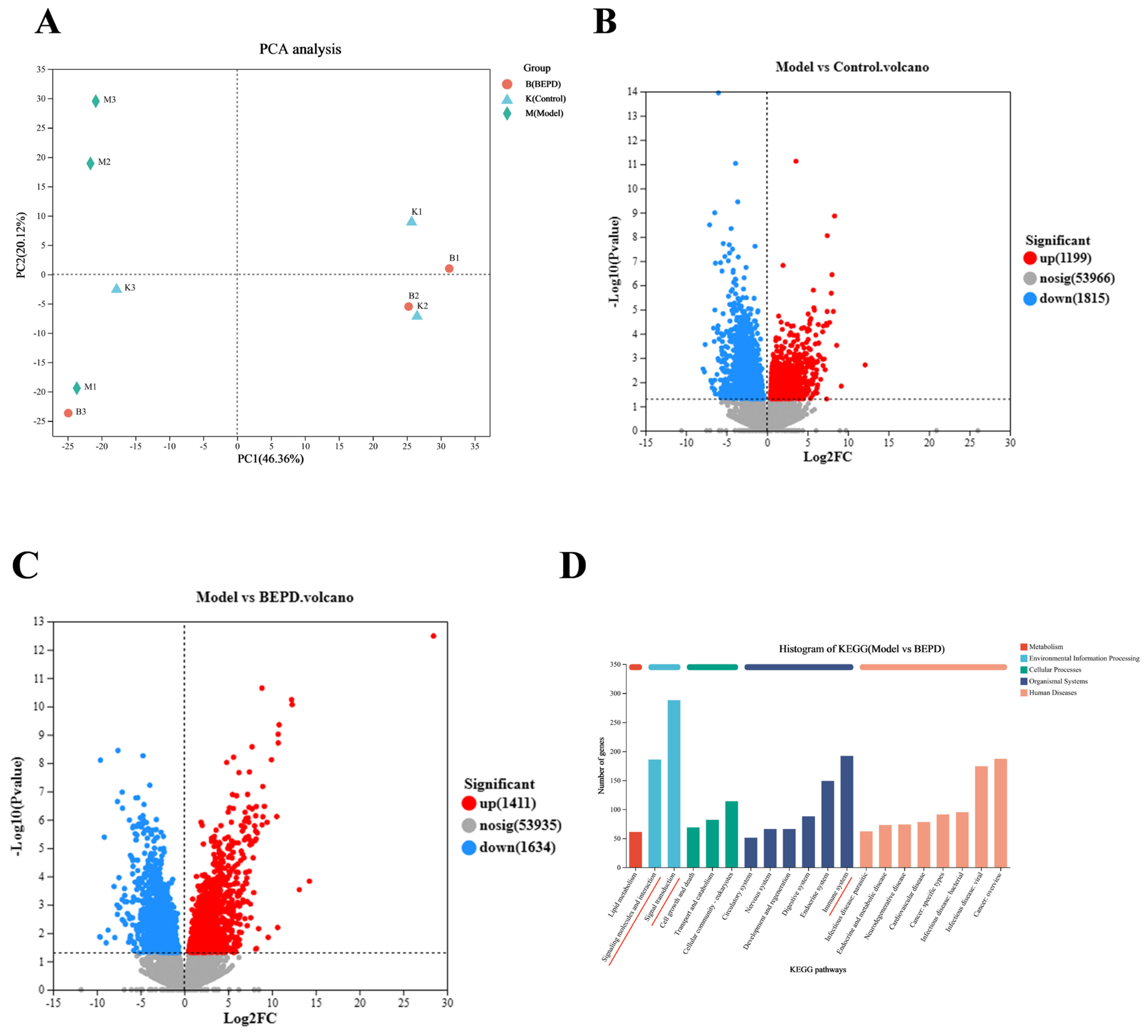 Pharmaceuticals 17 00594 g008a Pharmaceuticals 17 00594 g008a