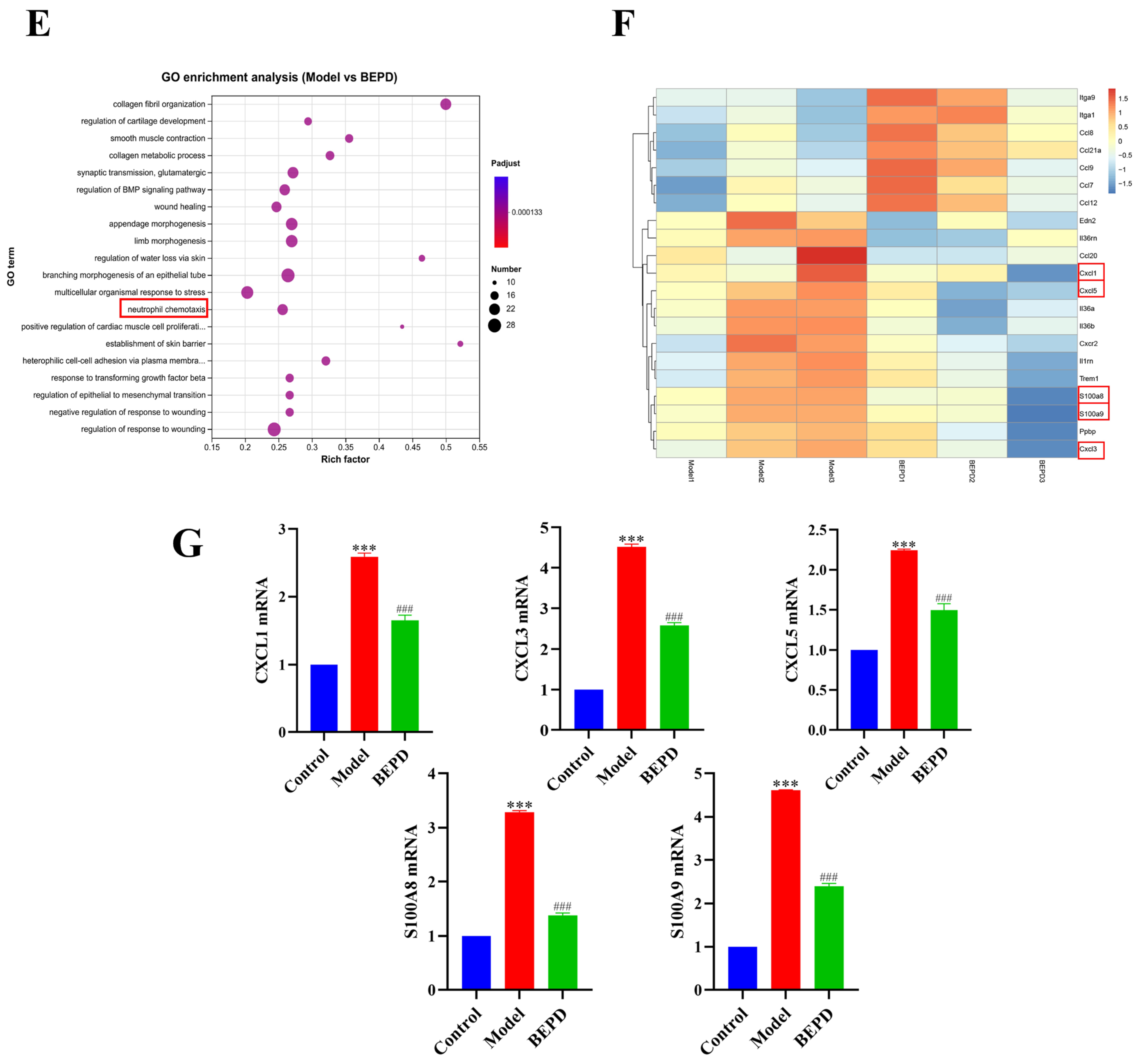 Pharmaceuticals 17 00594 g008b Pharmaceuticals 17 00594 g008b