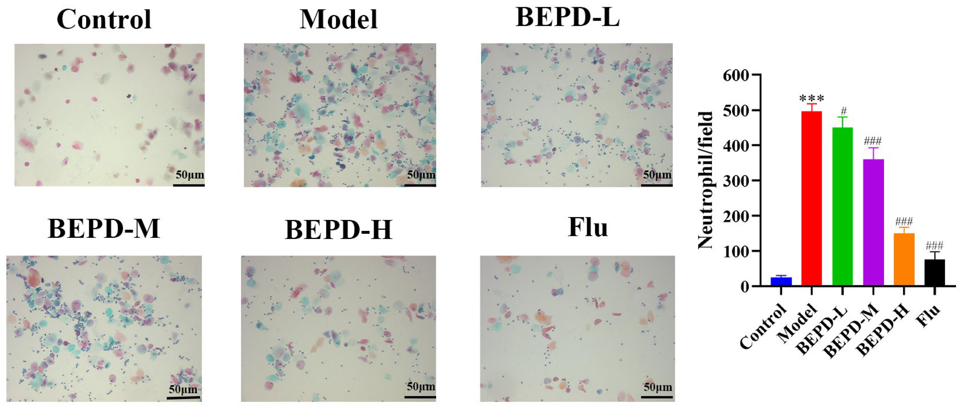 Pharmaceuticals 17 00594 g009 Pharmaceuticals 17 00594 g009