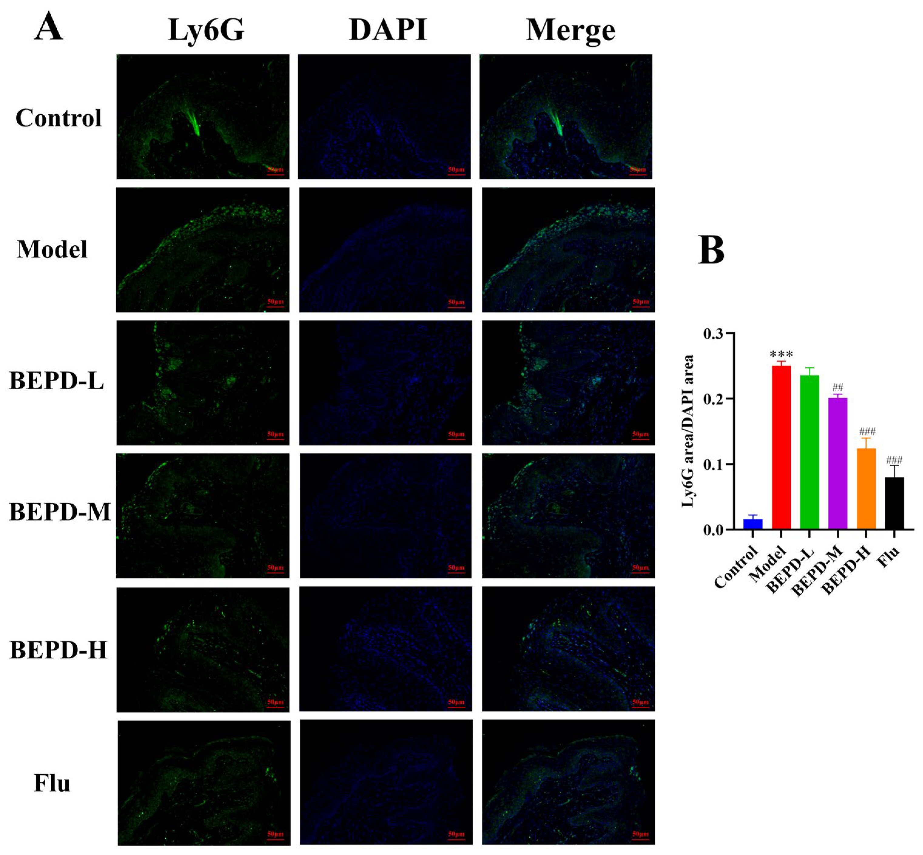 Pharmaceuticals 17 00594 g010 Pharmaceuticals 17 00594 g010