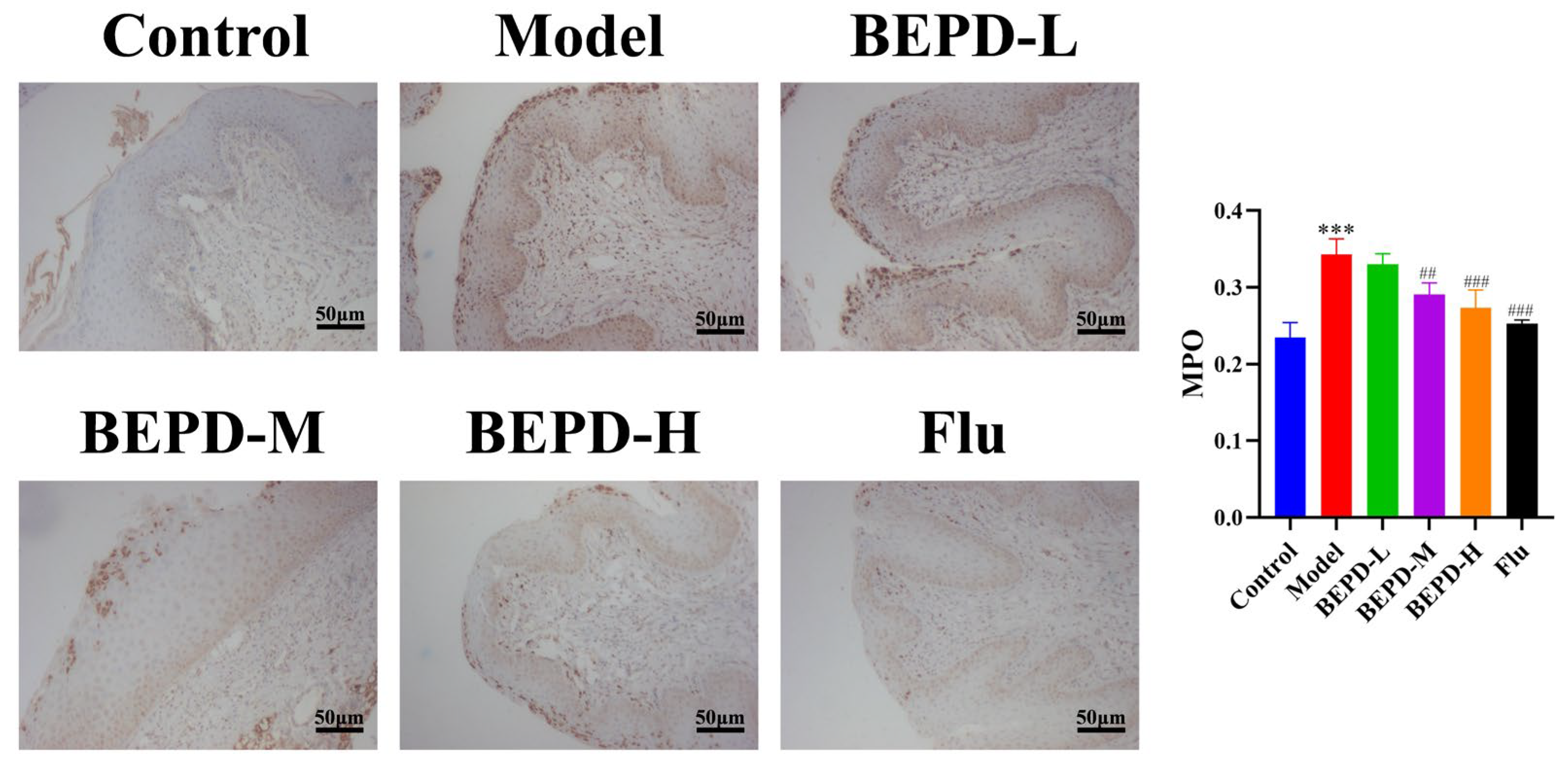Pharmaceuticals 17 00594 g011 Pharmaceuticals 17 00594 g011