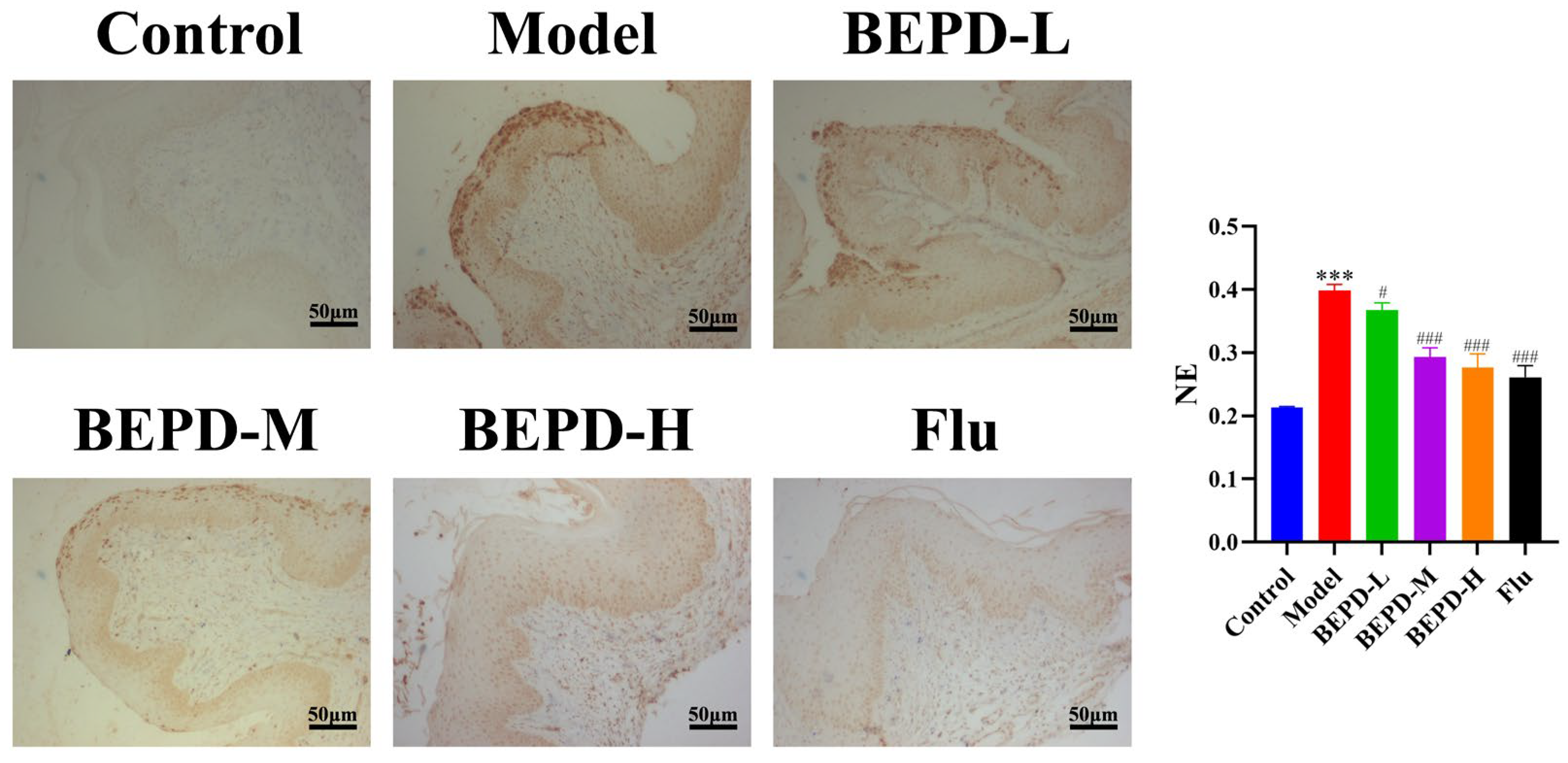 Pharmaceuticals 17 00594 g012 Pharmaceuticals 17 00594 g012