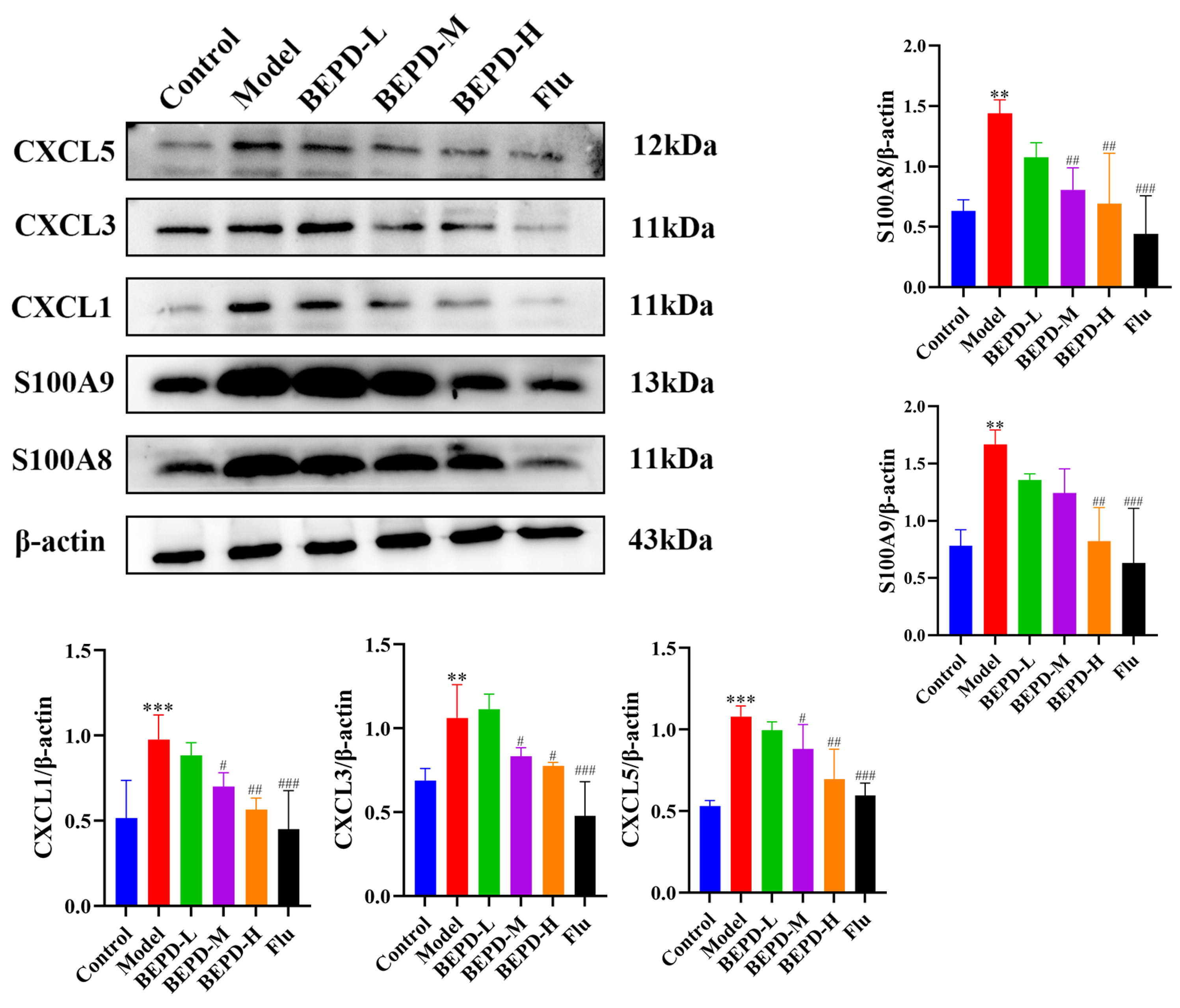 Pharmaceuticals 17 00594 g013 Pharmaceuticals 17 00594 g013