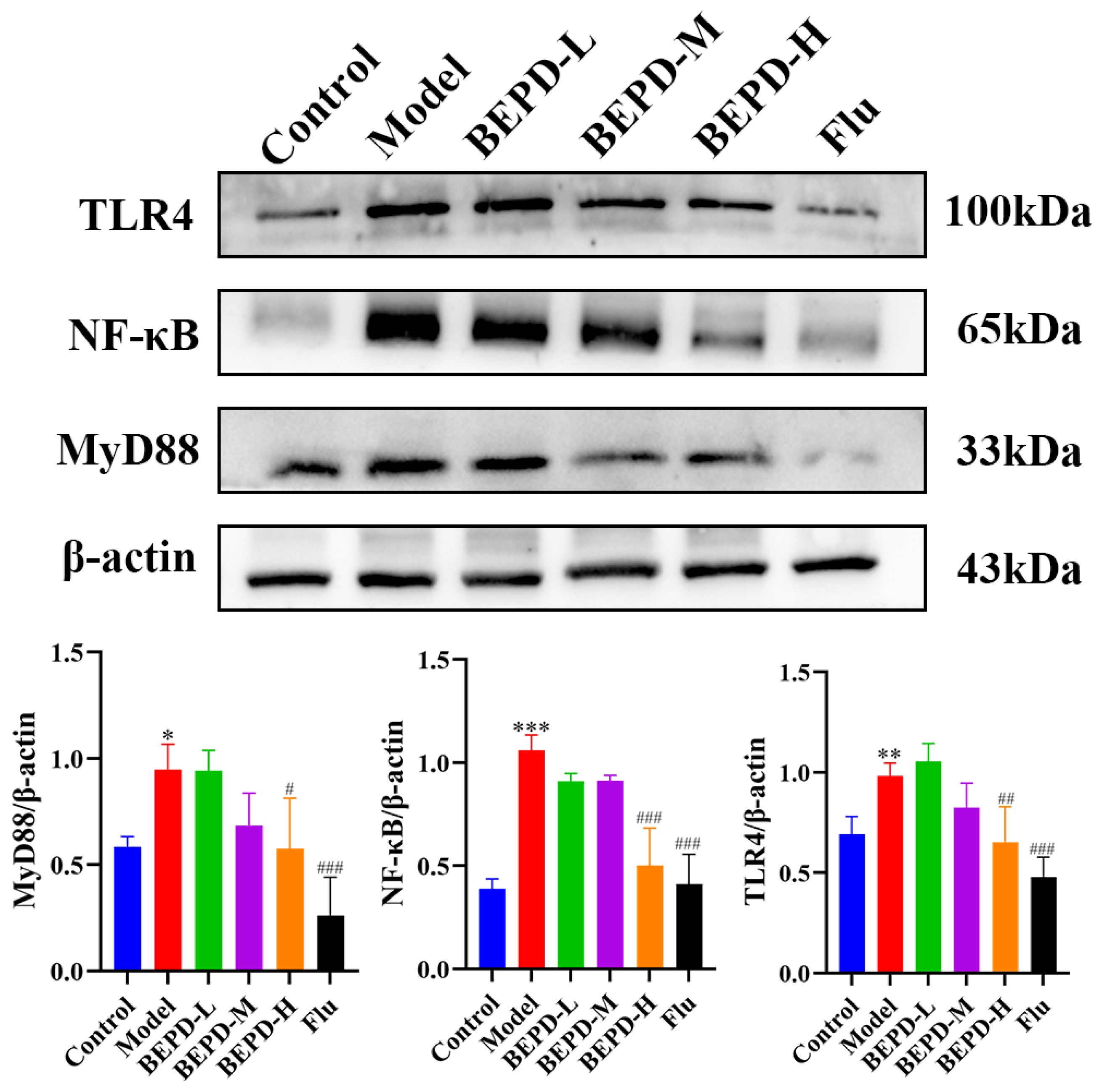 Pharmaceuticals 17 00594 g014 Pharmaceuticals 17 00594 g014