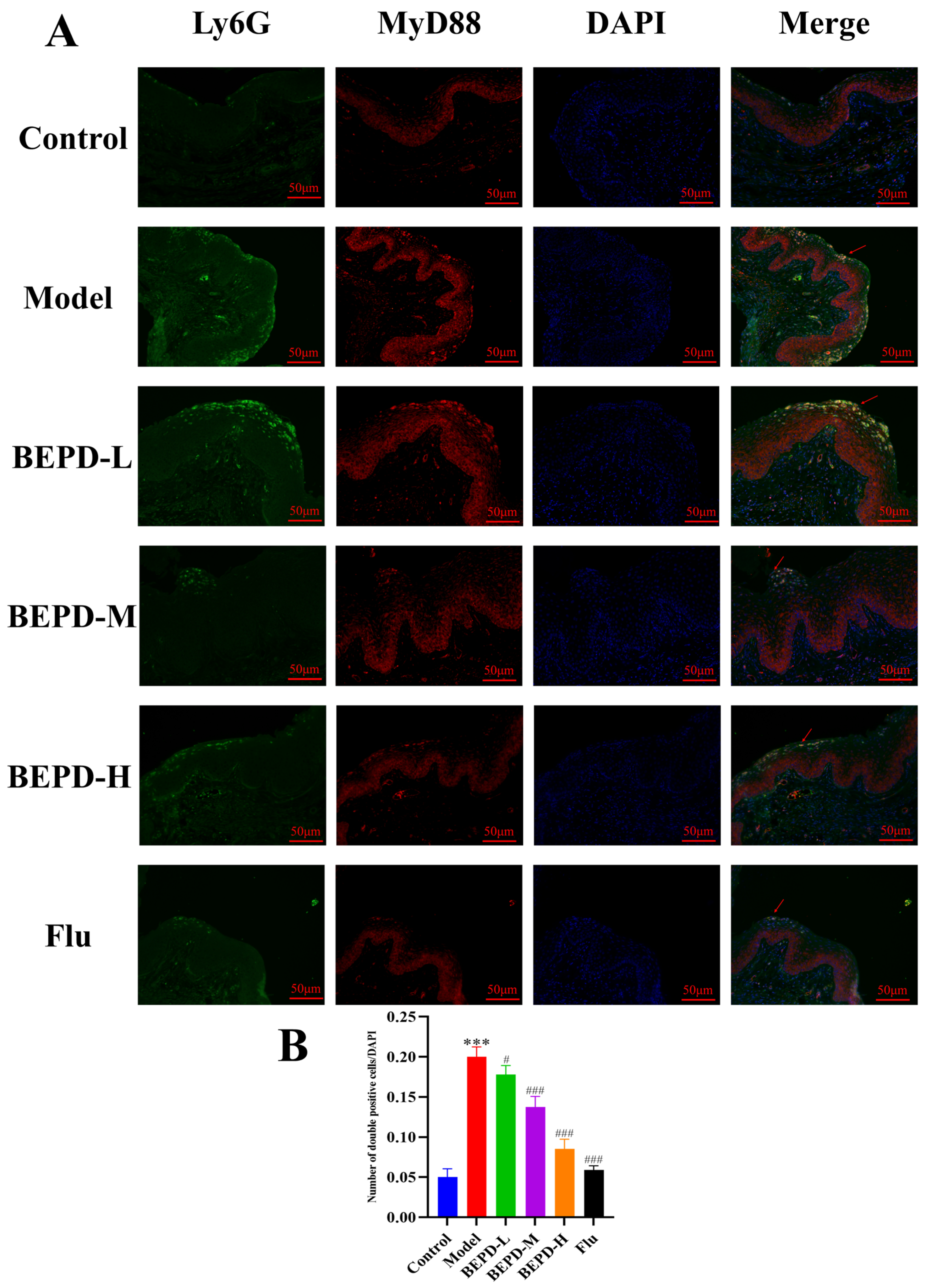 Pharmaceuticals 17 00594 g015 Pharmaceuticals 17 00594 g015