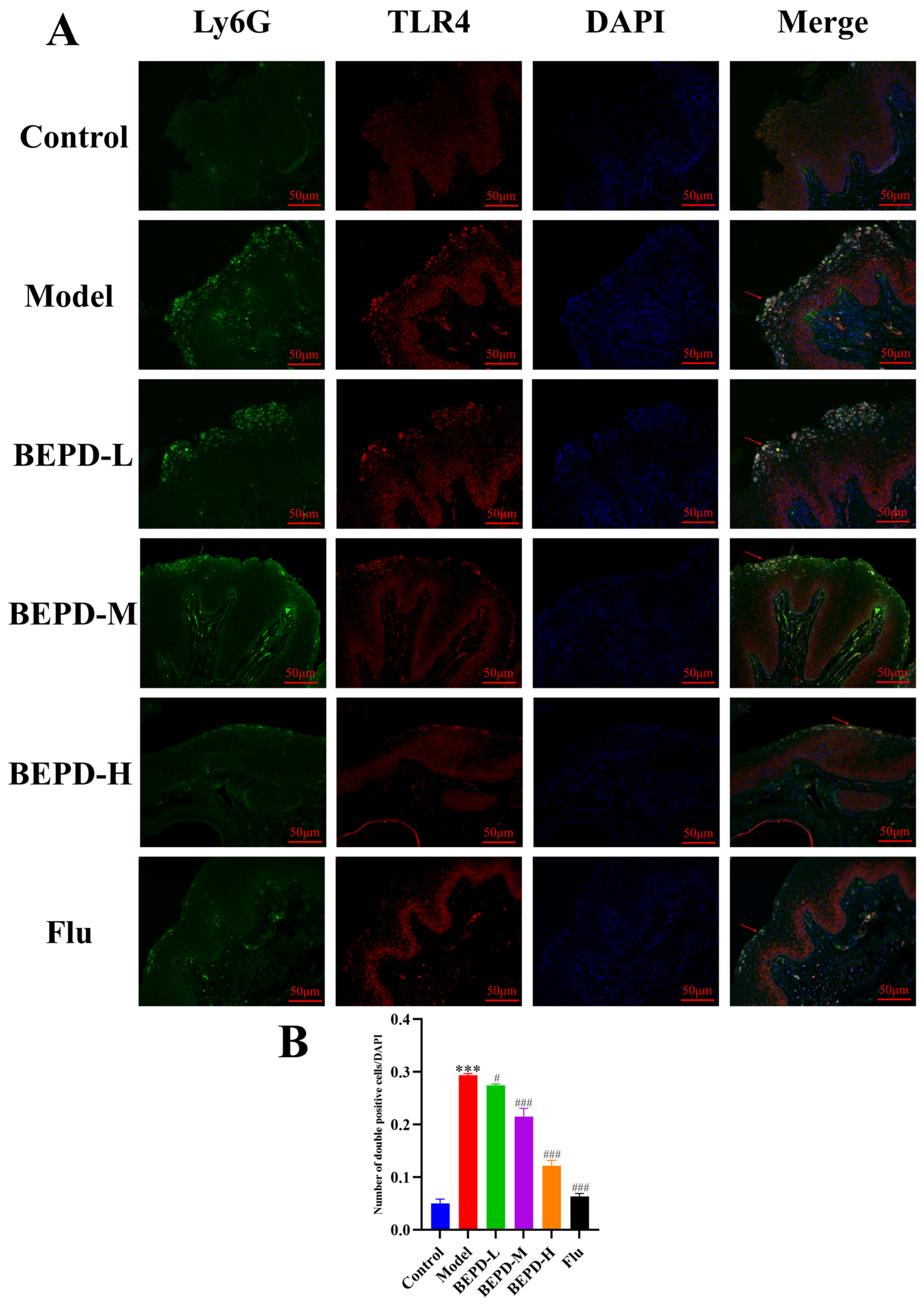 Pharmaceuticals 17 00594 g016 Pharmaceuticals 17 00594 g016