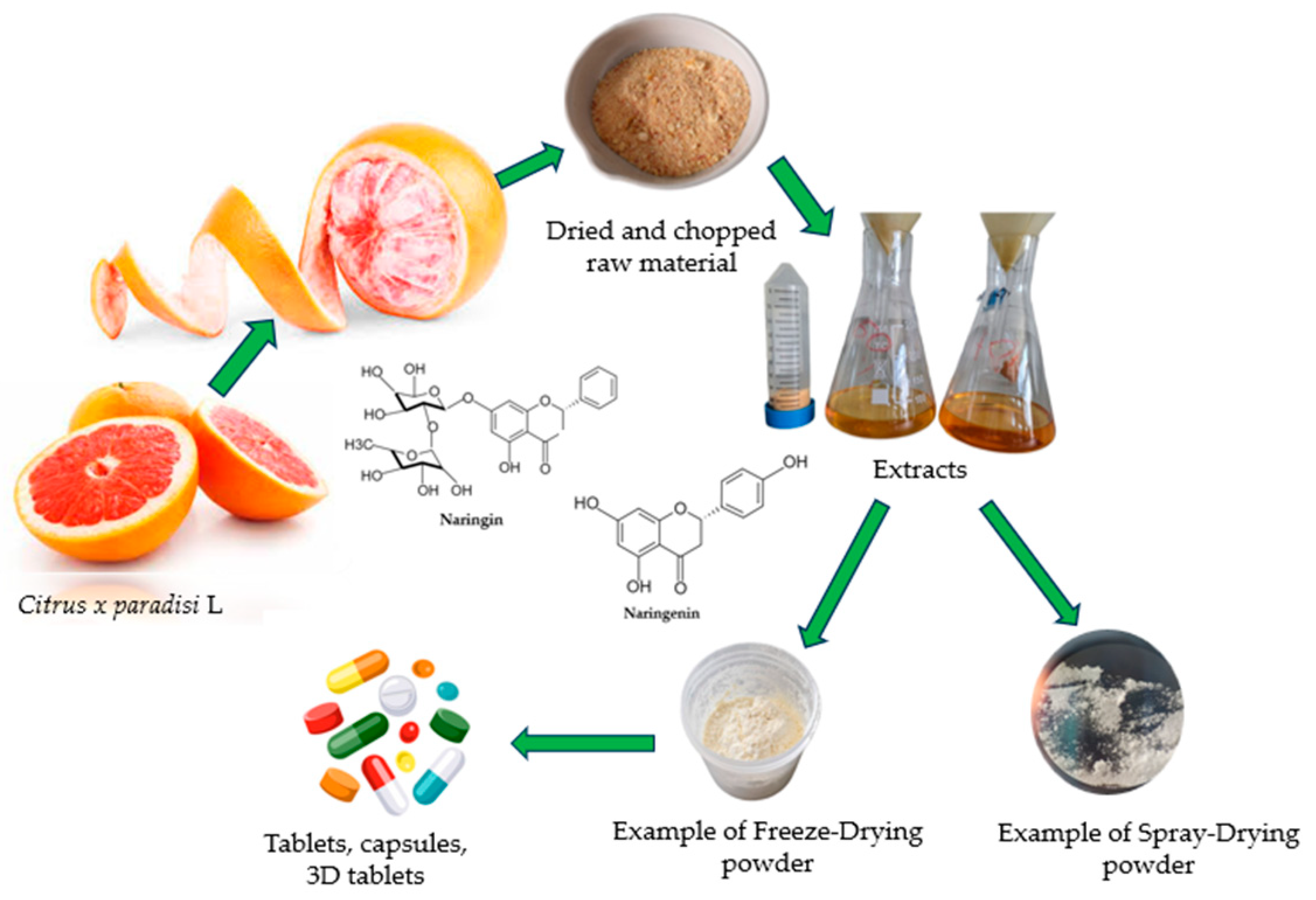Pharmaceuticals 17 00596 g003