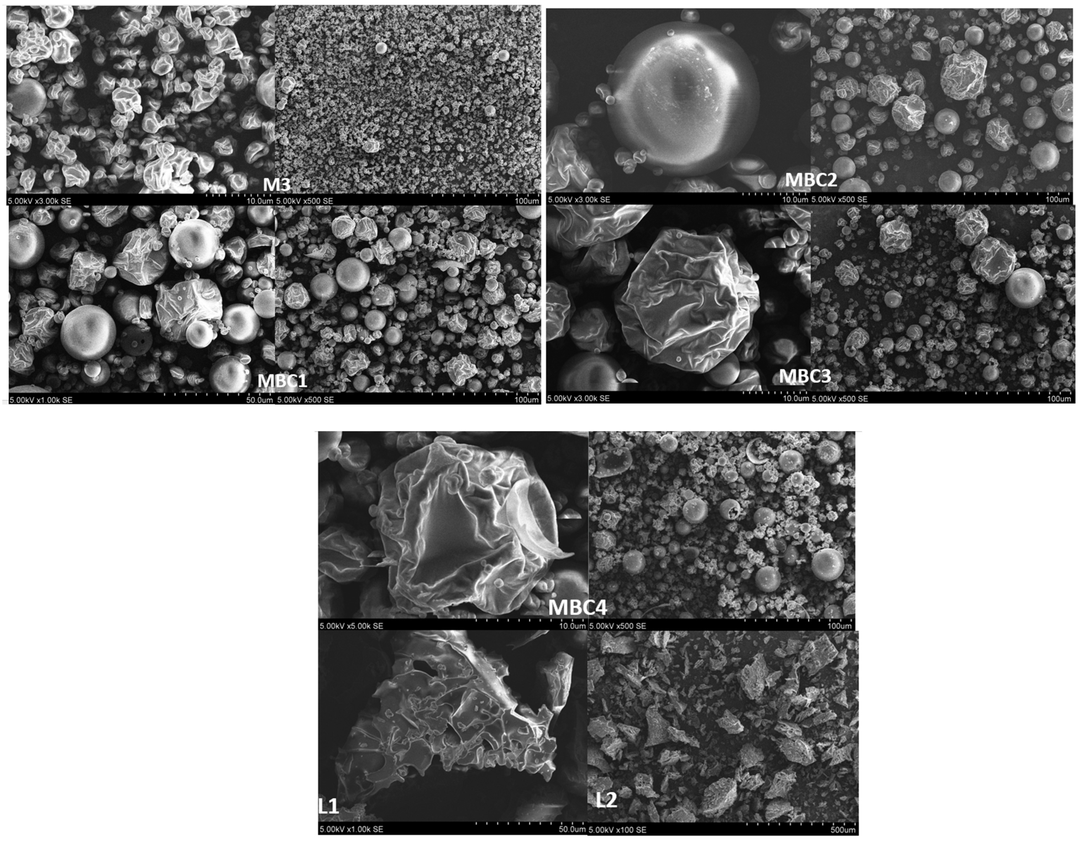 Pharmaceuticals 17 00596 g009