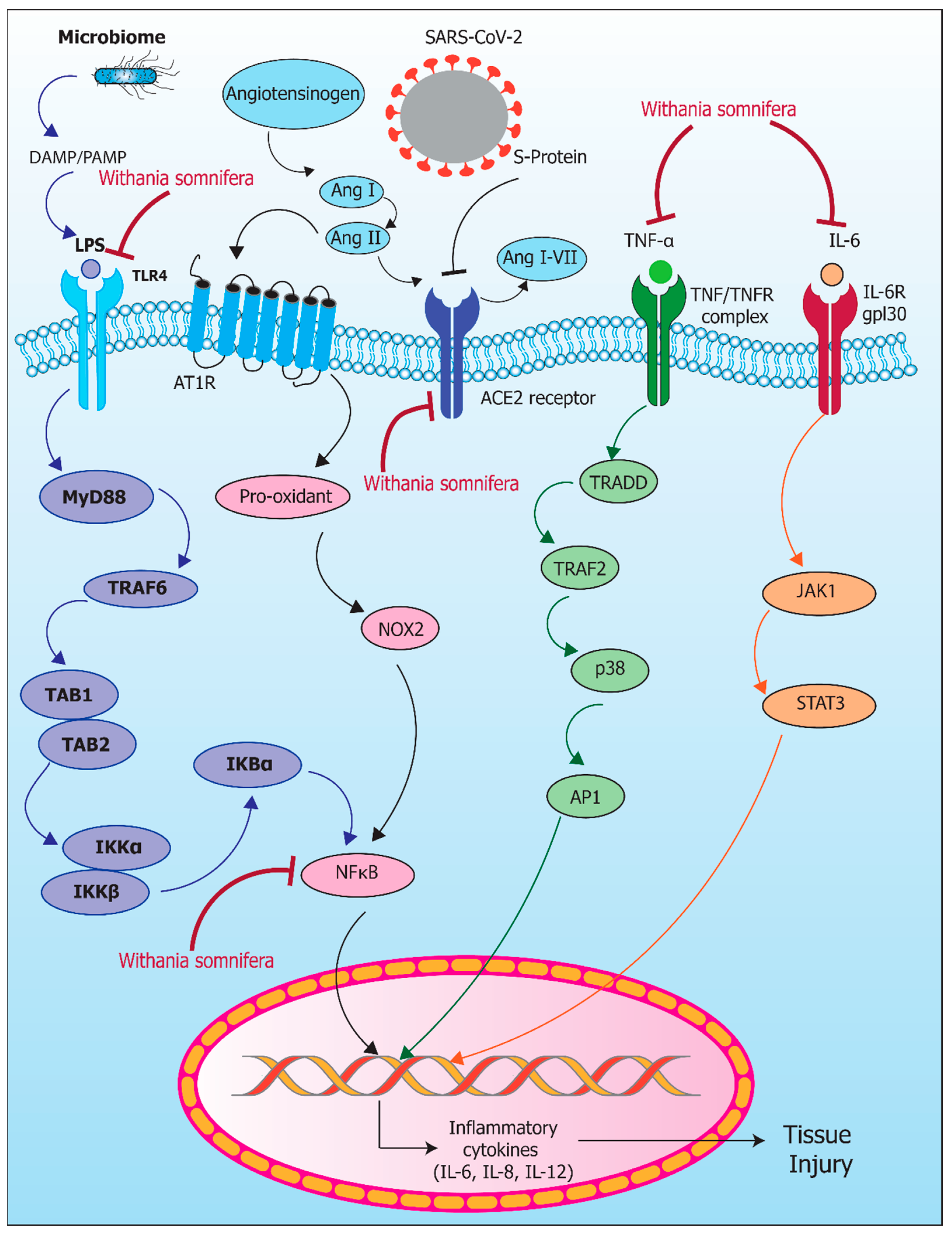 Pharmaceuticals 17 00597 g003