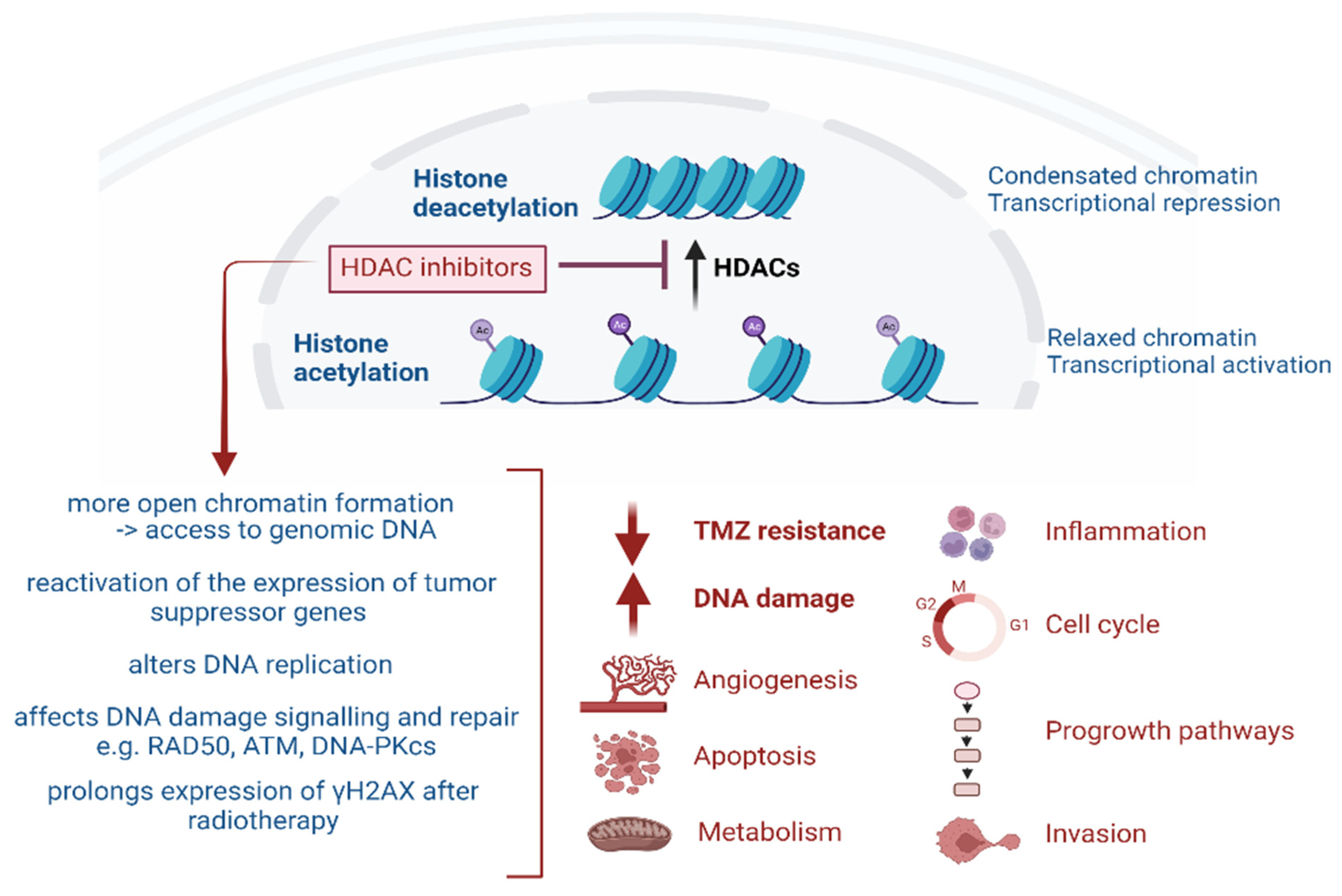 Pharmaceuticals 17 00602 g001 Pharmaceuticals 17 00602 g001