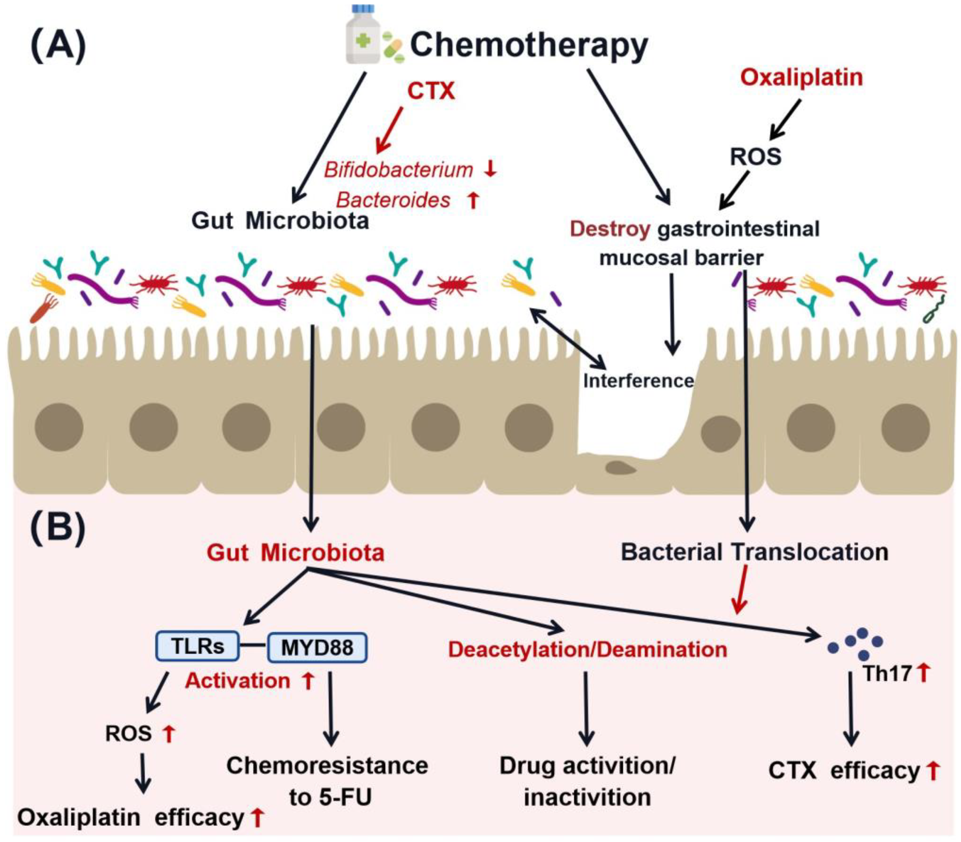 Pharmaceuticals 17 00604 g002