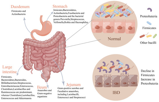 Therapeutic Prospects of Mesenchymal Stem Cell and Their