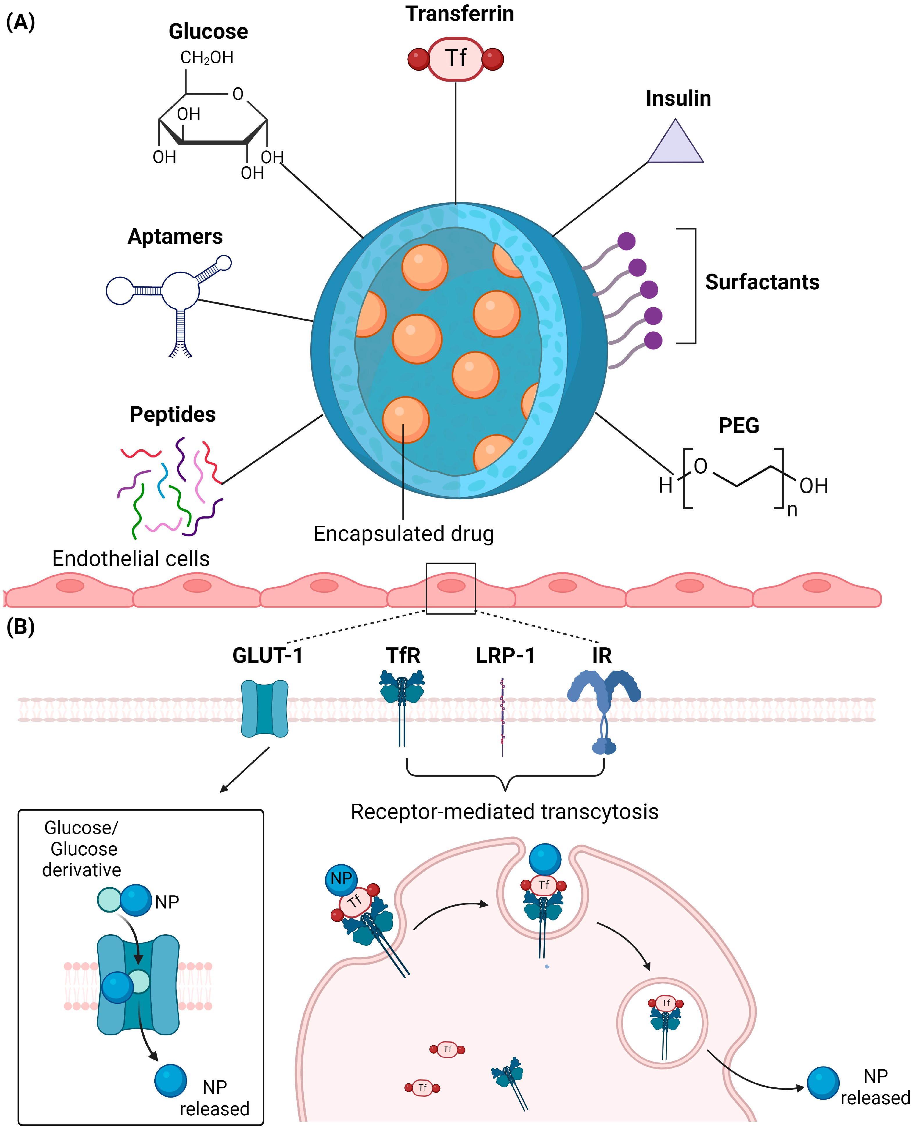 Pharmaceuticals 17 00612 g003