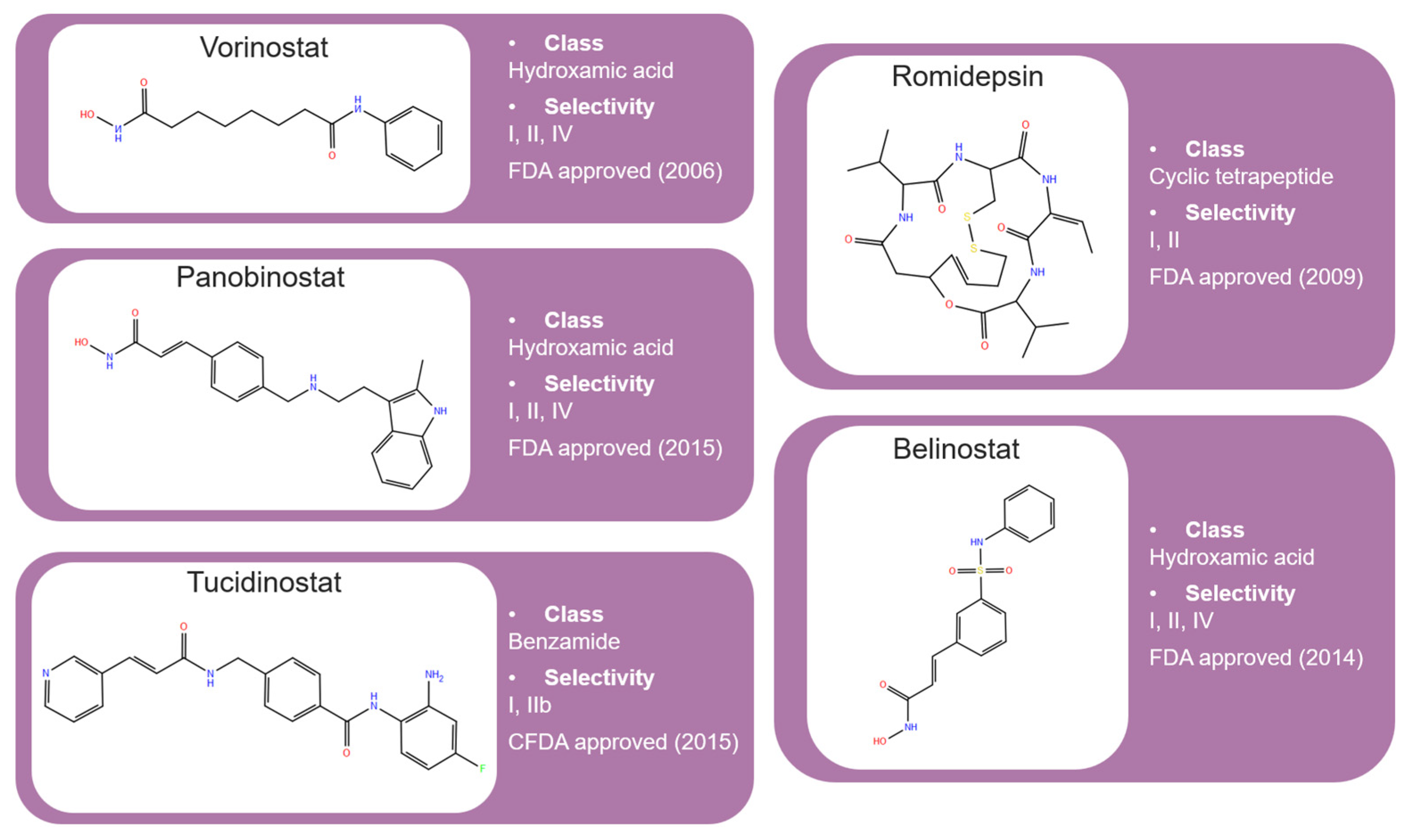 Pharmaceuticals 17 00620 g006 Pharmaceuticals 17 00620 g006