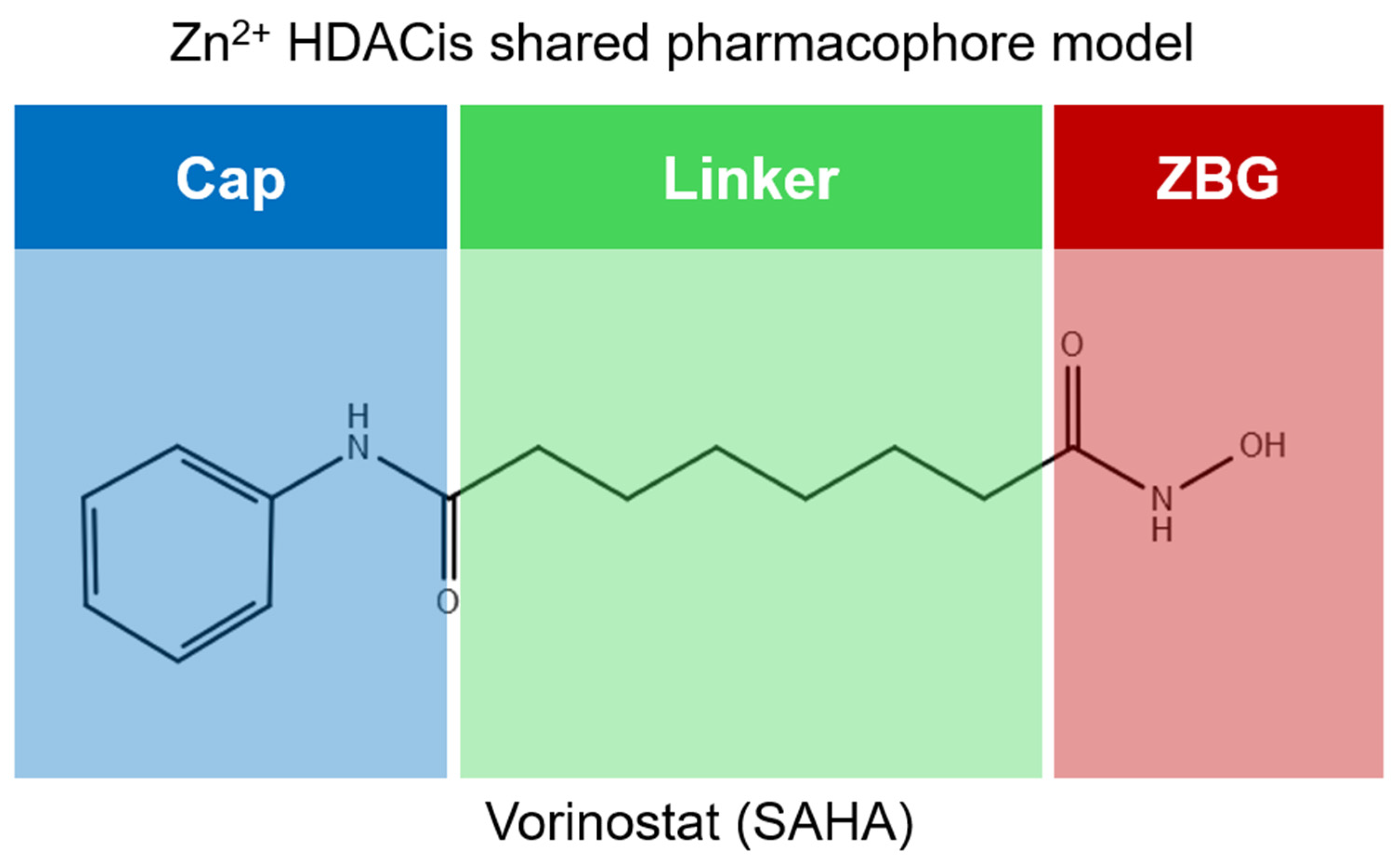 Pharmaceuticals 17 00620 g007 Pharmaceuticals 17 00620 g007