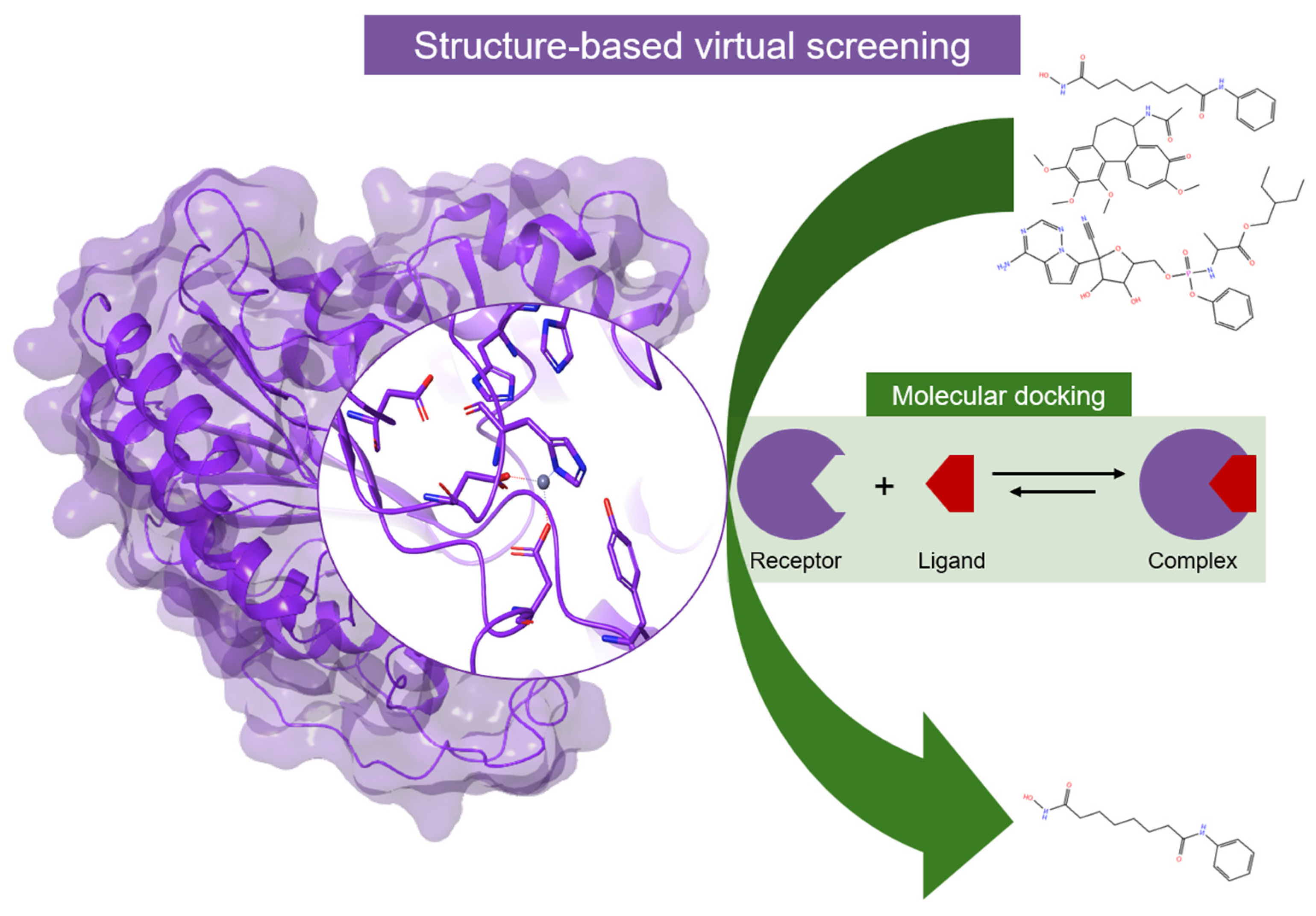 Pharmaceuticals 17 00620 g010 Pharmaceuticals 17 00620 g010