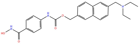 Pharmaceuticals 17 00620 i005 Pharmaceuticals 17 00620 i005