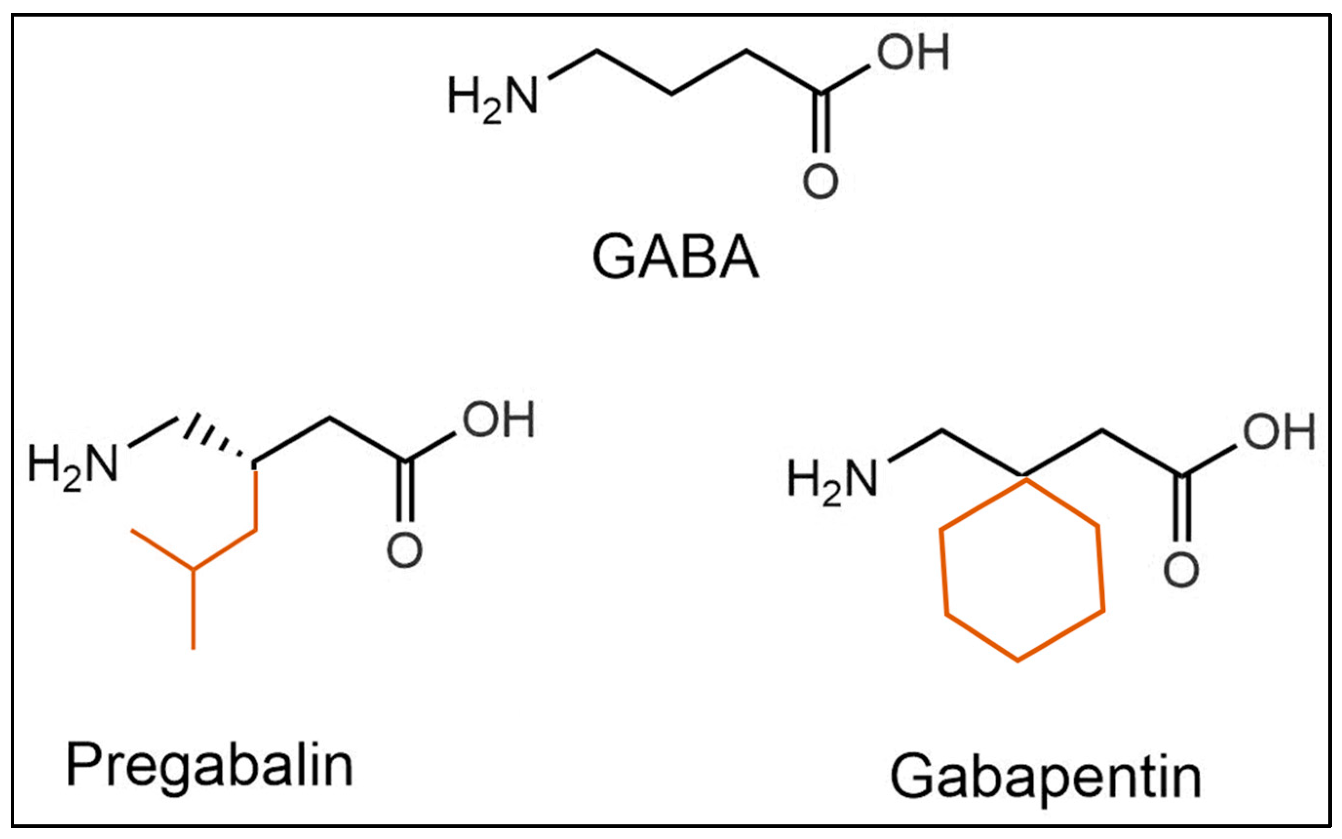 mechanism of action of gabapentin