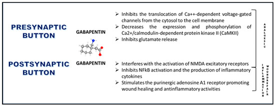 does neurontin work for sciatica