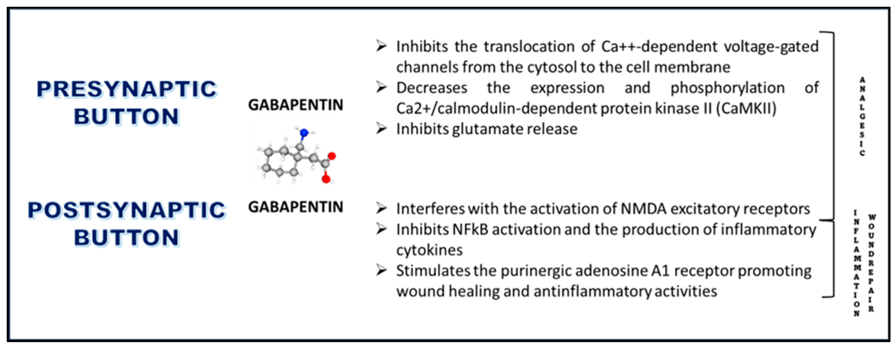 gabapentin pharmacological drug class