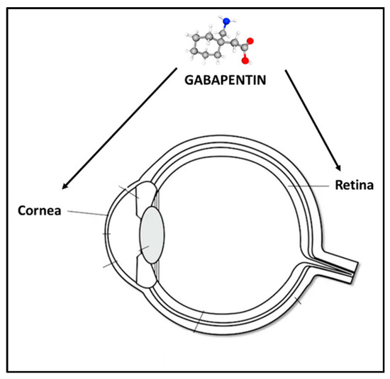 gabapentin for ocular pain