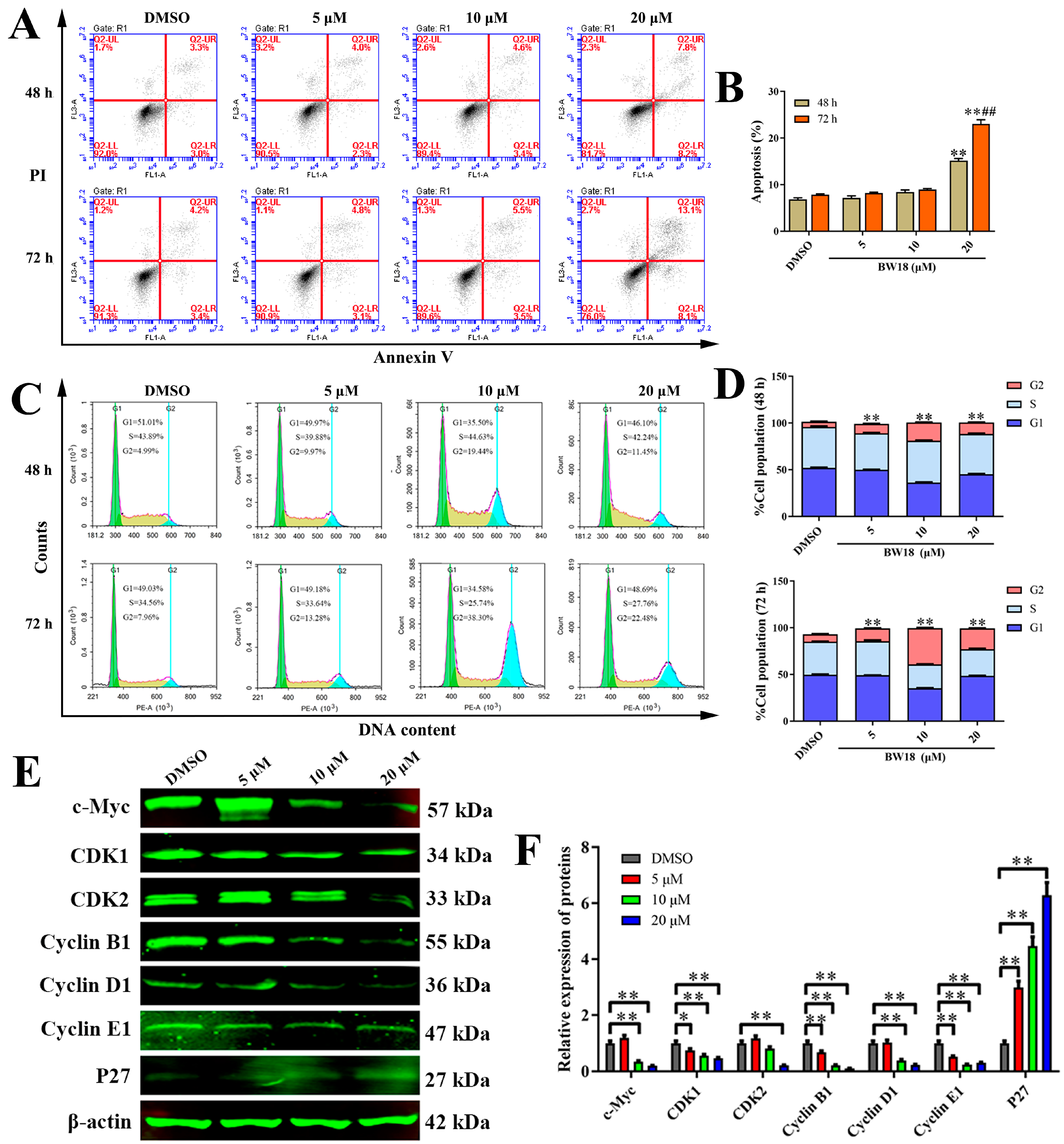 Pharmaceuticals 17 00628 g002 Pharmaceuticals 17 00628 g002