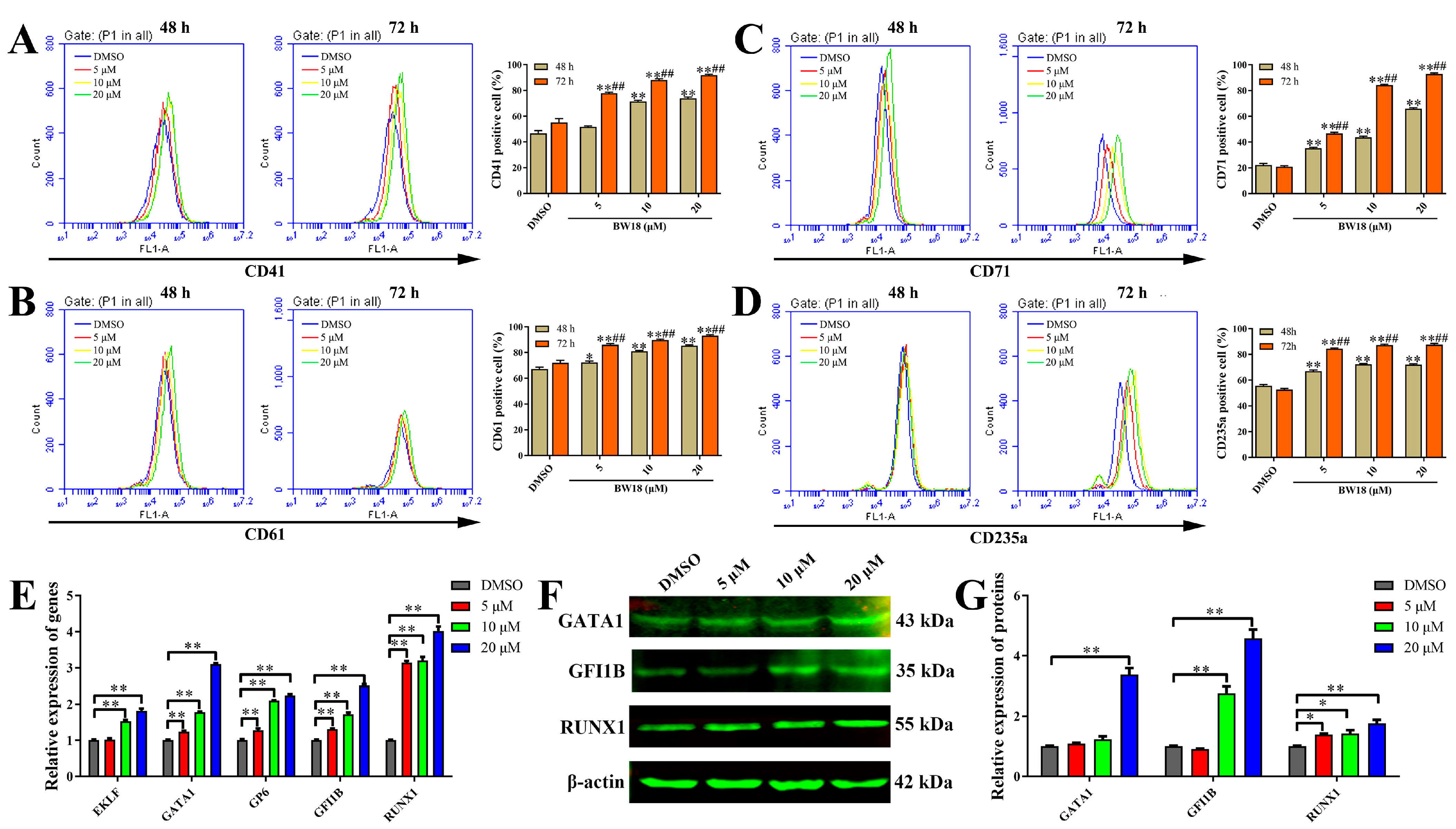 Pharmaceuticals 17 00628 g003 Pharmaceuticals 17 00628 g003