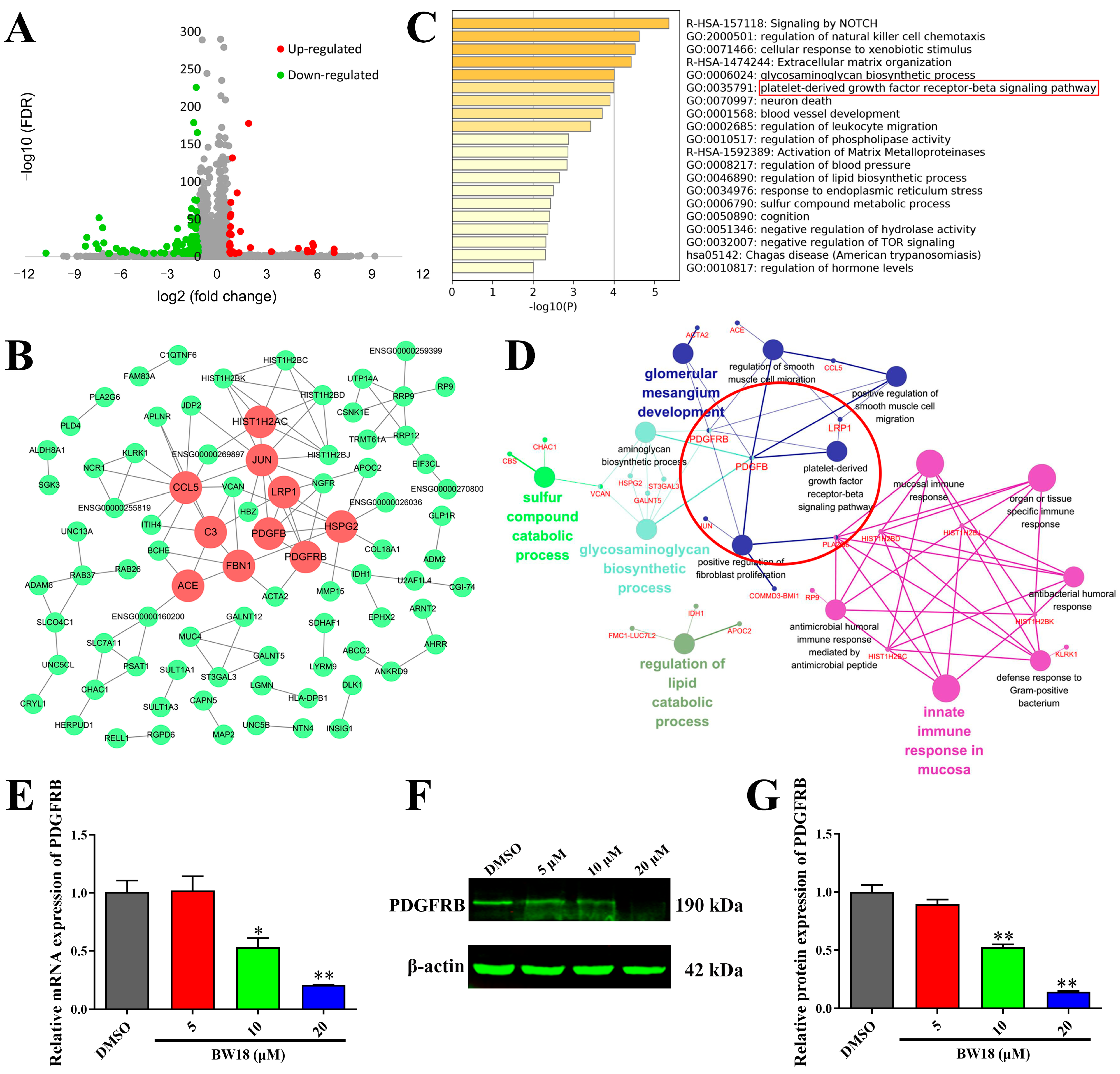 Pharmaceuticals 17 00628 g004 Pharmaceuticals 17 00628 g004