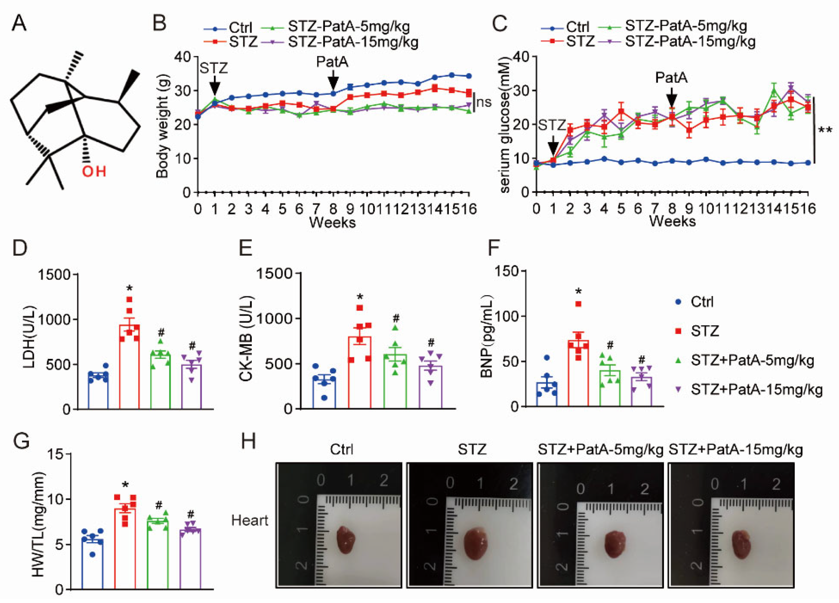 Pharmaceuticals 17 00631 g001