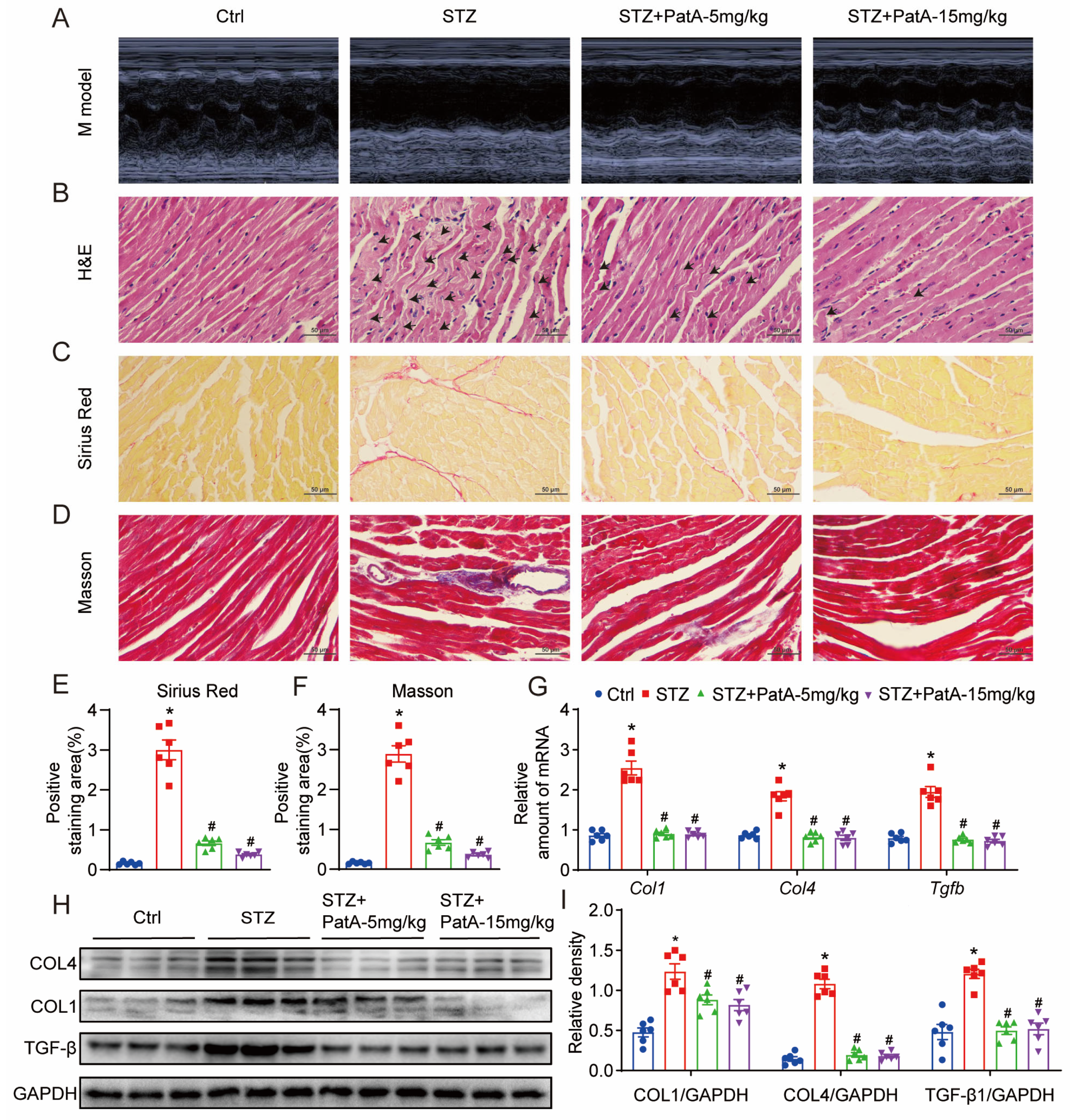 Pharmaceuticals 17 00631 g002