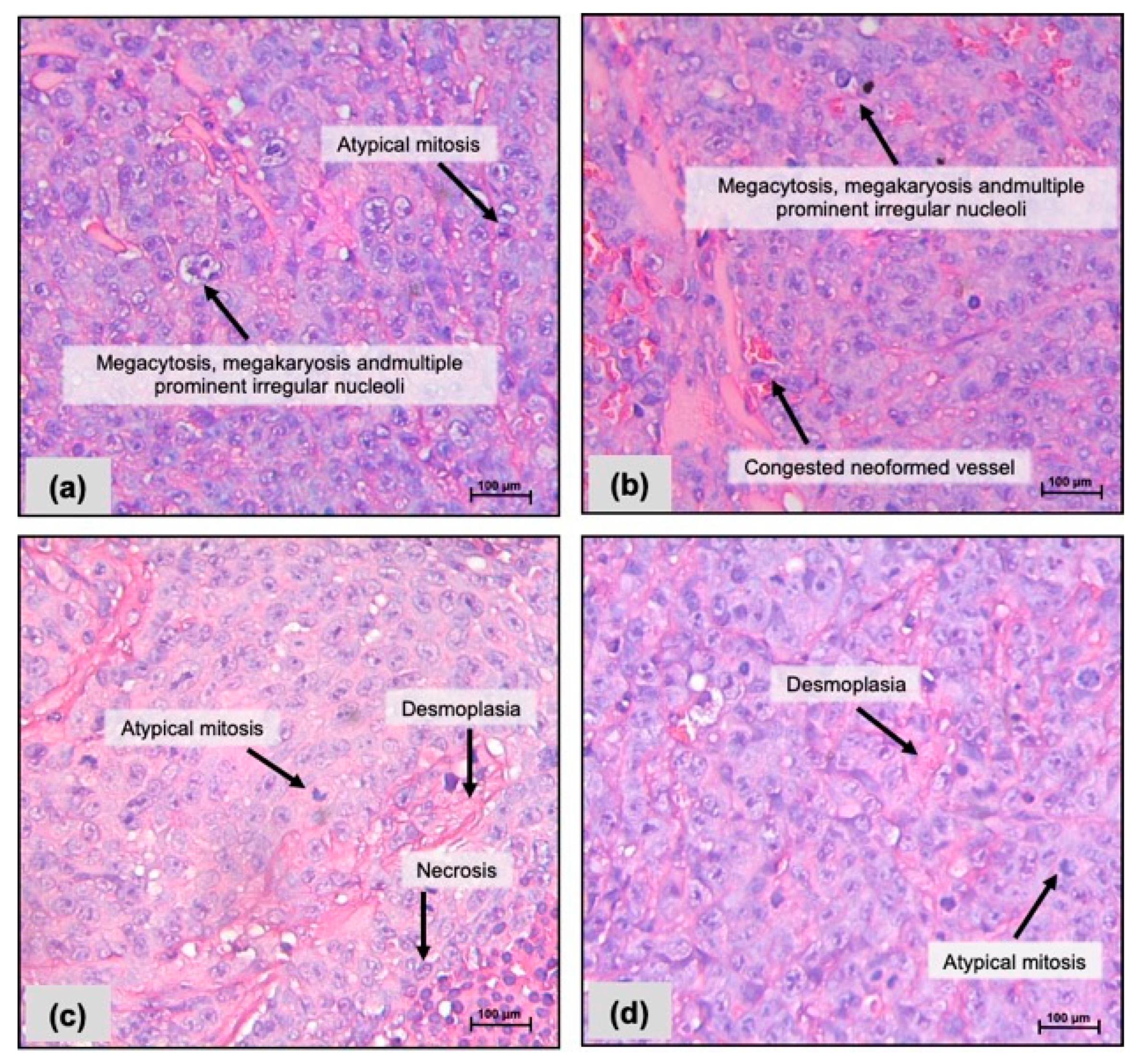 Pharmaceuticals 17 00633 g001 Pharmaceuticals 17 00633 g001